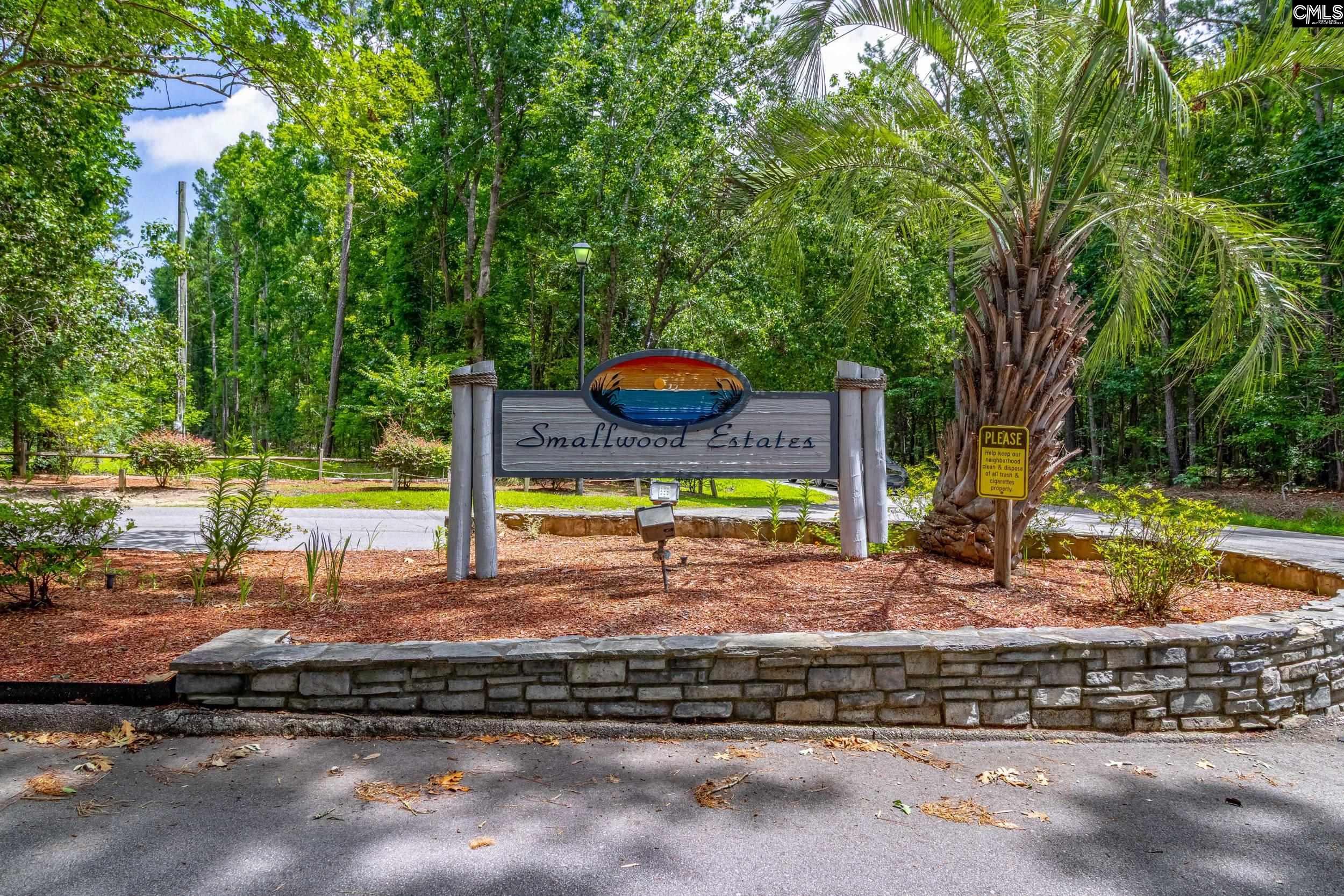 161 Smallwood Drive, Chapin, South Carolina image 22