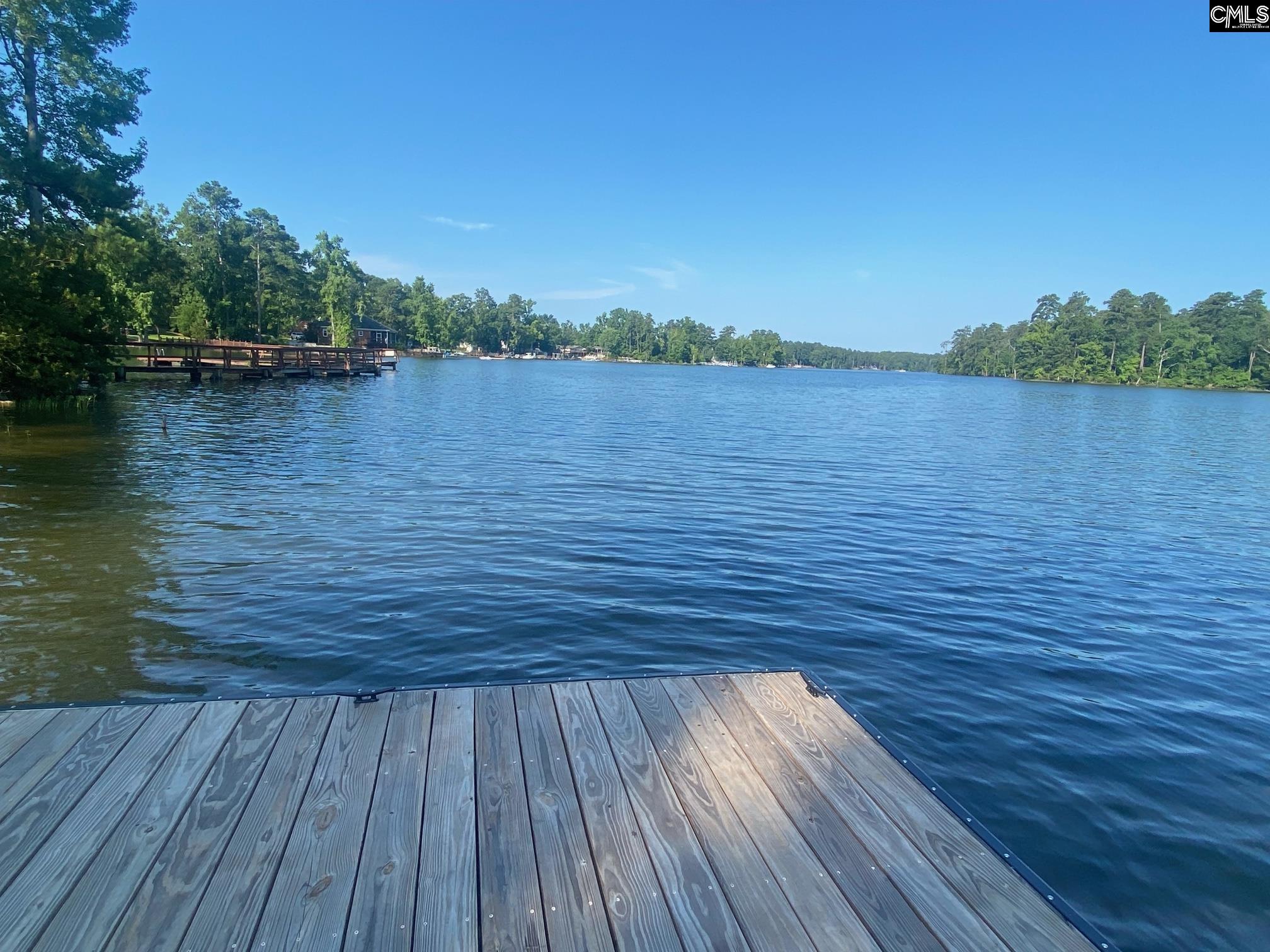 161 Smallwood Drive, Chapin, South Carolina image 25