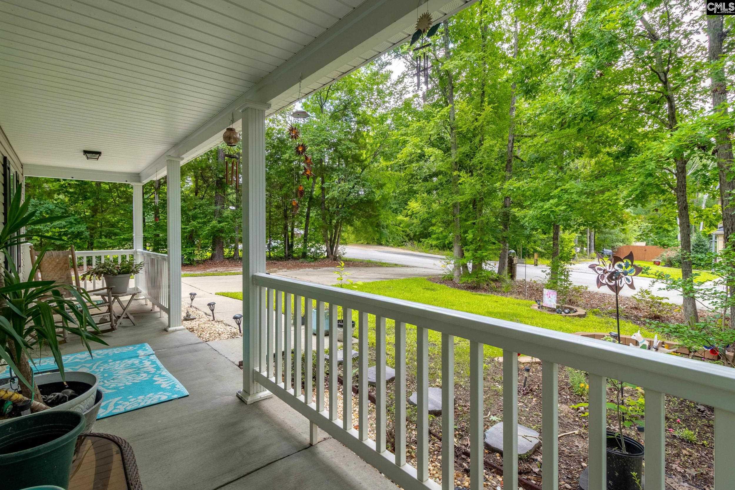 161 Smallwood Drive, Chapin, South Carolina image 4