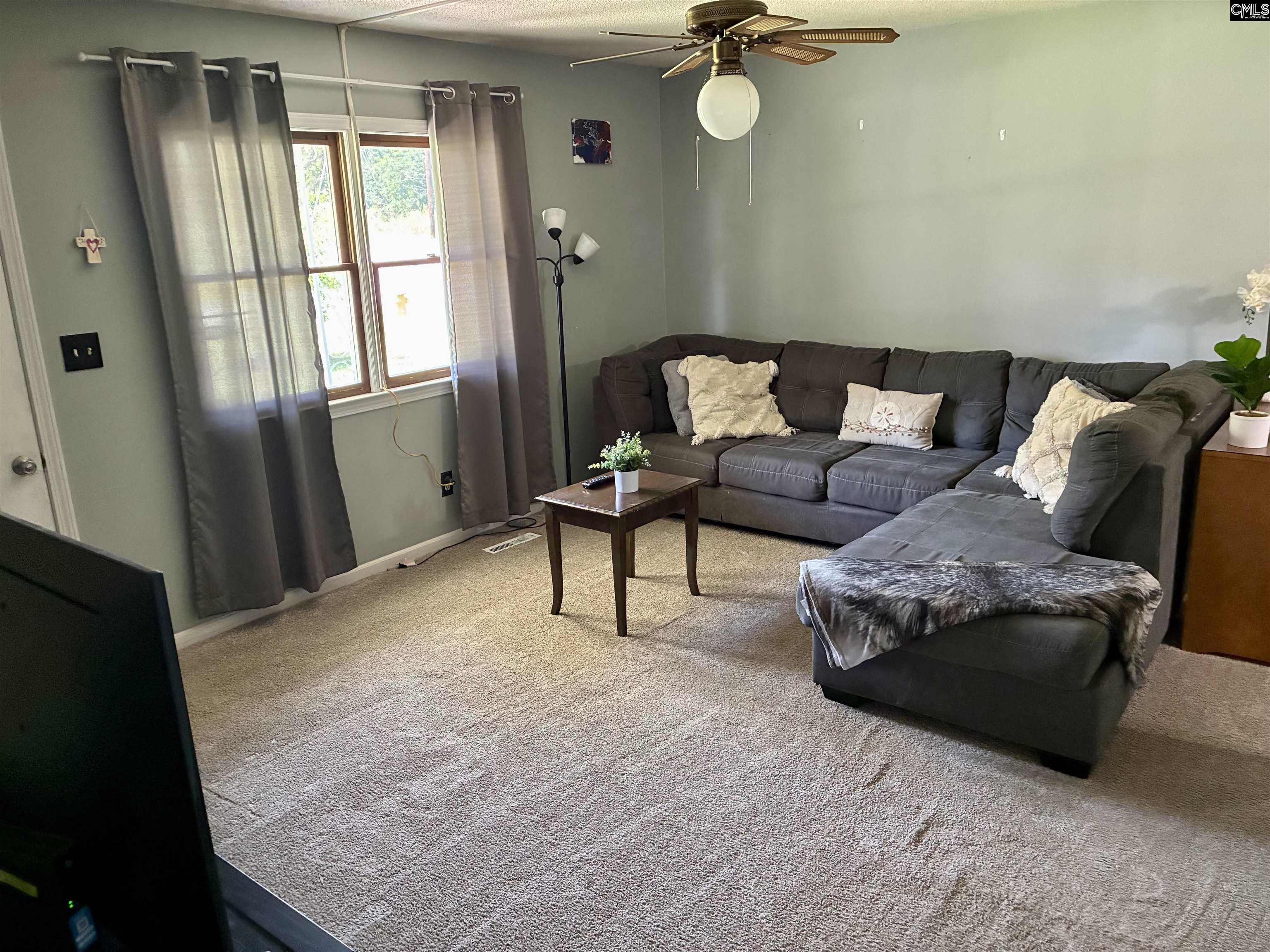 909 Mamie Street, Newberry, South Carolina image 2