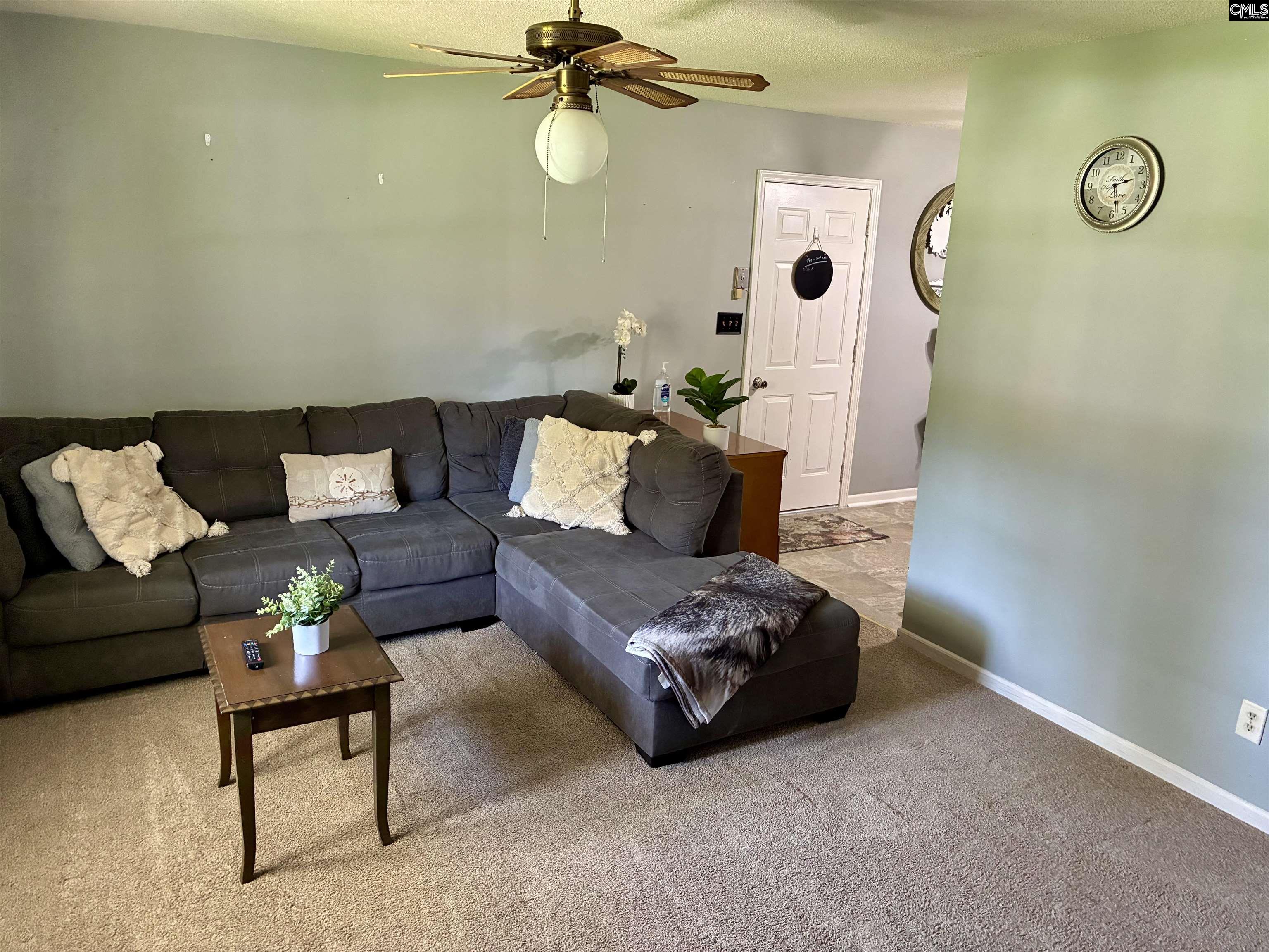 909 Mamie Street, Newberry, South Carolina image 3