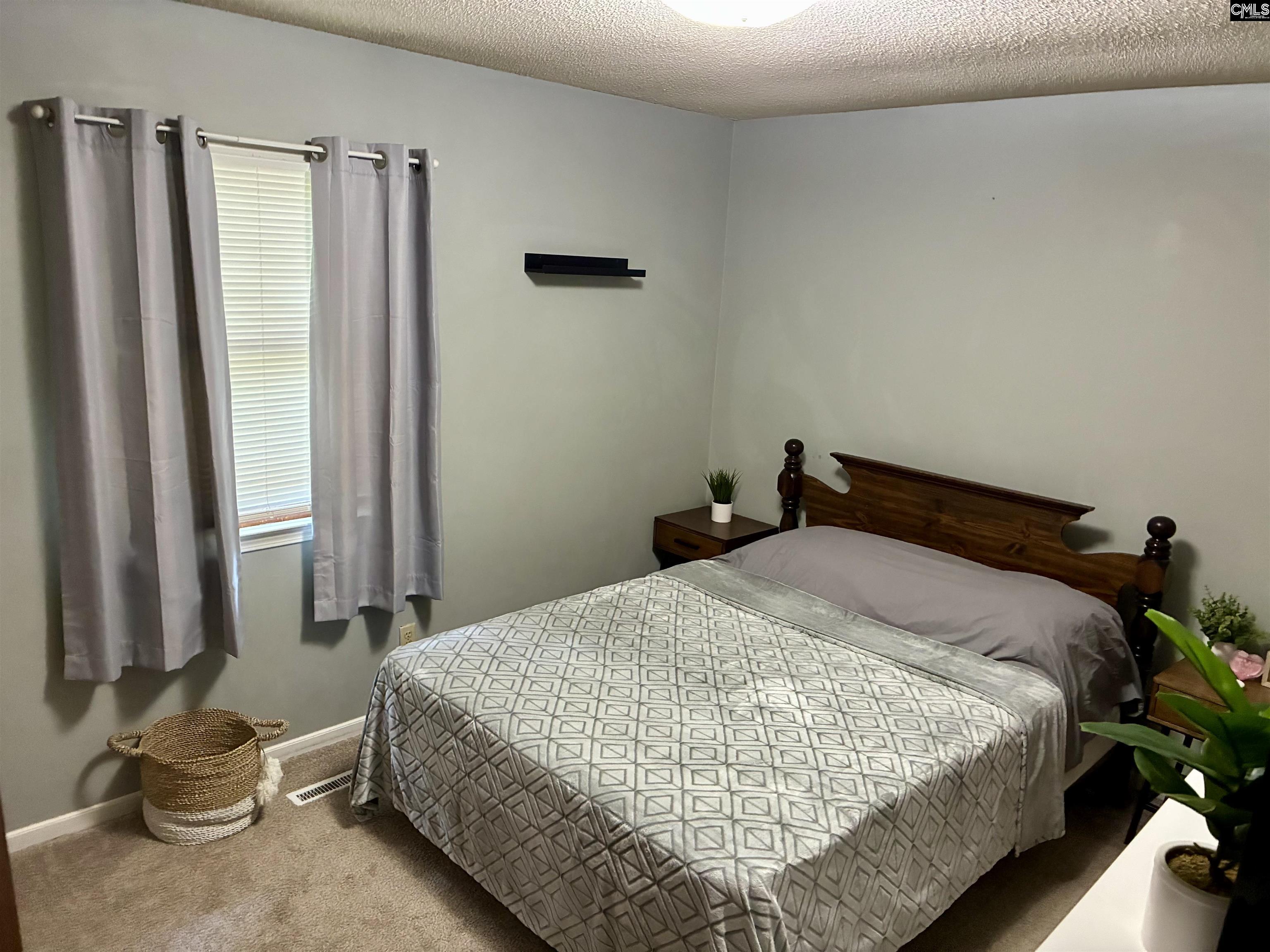 909 Mamie Street, Newberry, South Carolina image 10