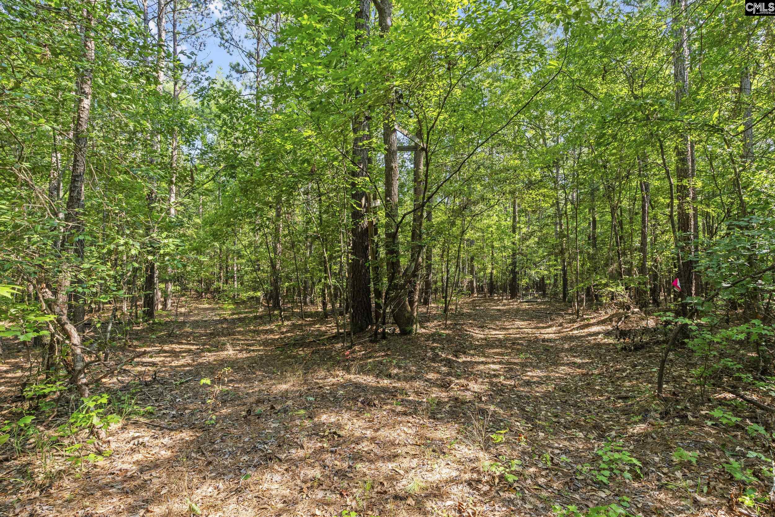 259 Sessions Road, Elgin, South Carolina image 4