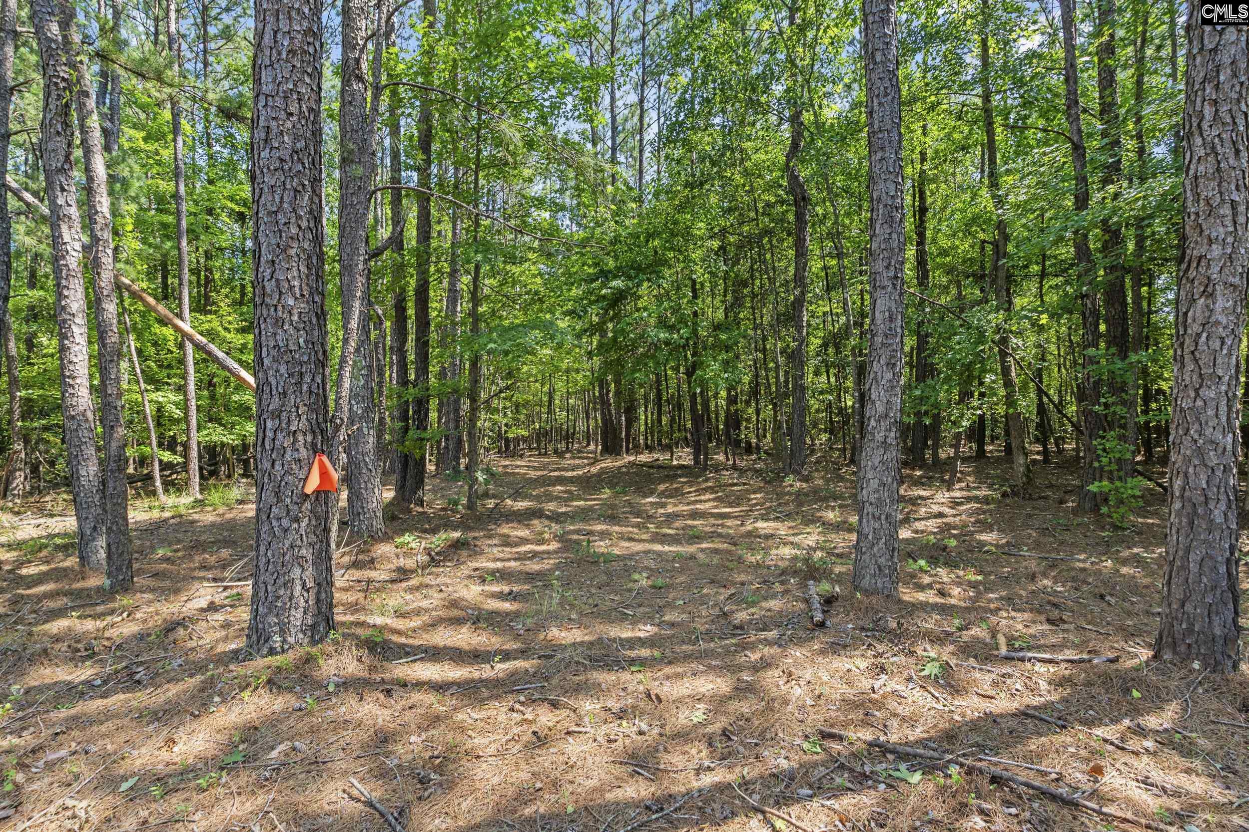 259 Sessions Road Elgin, SC 29045