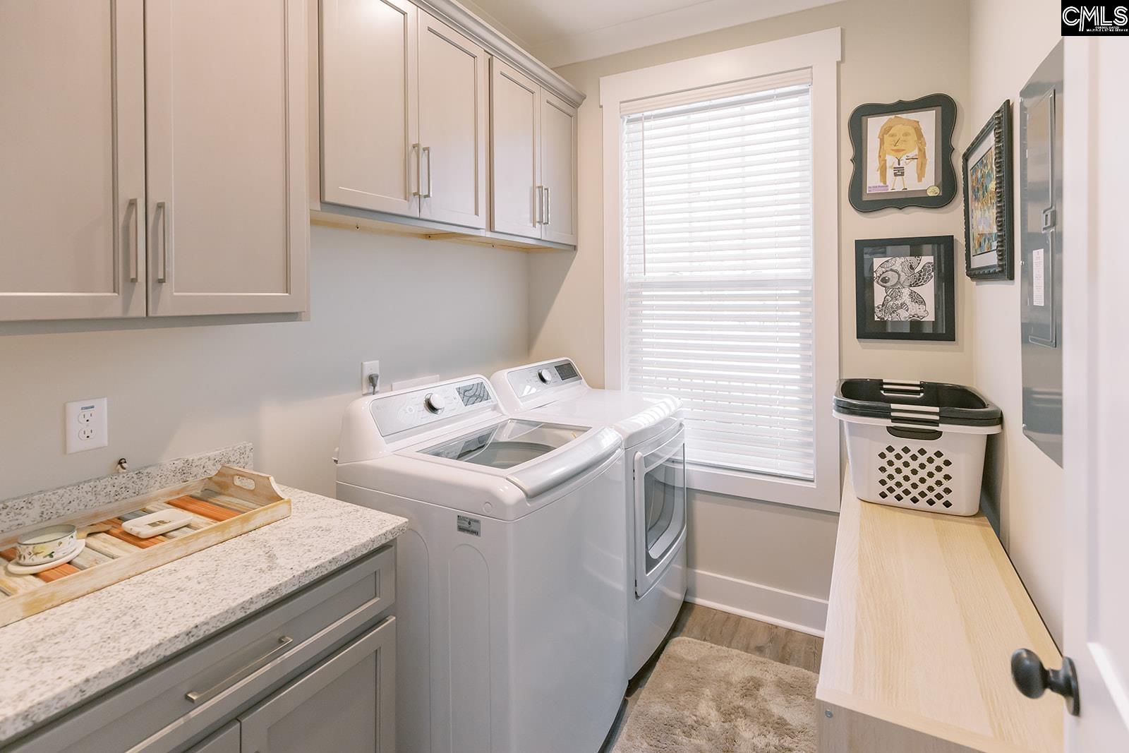 1132 Dan Comalander Drive, Chapin, South Carolina image 48