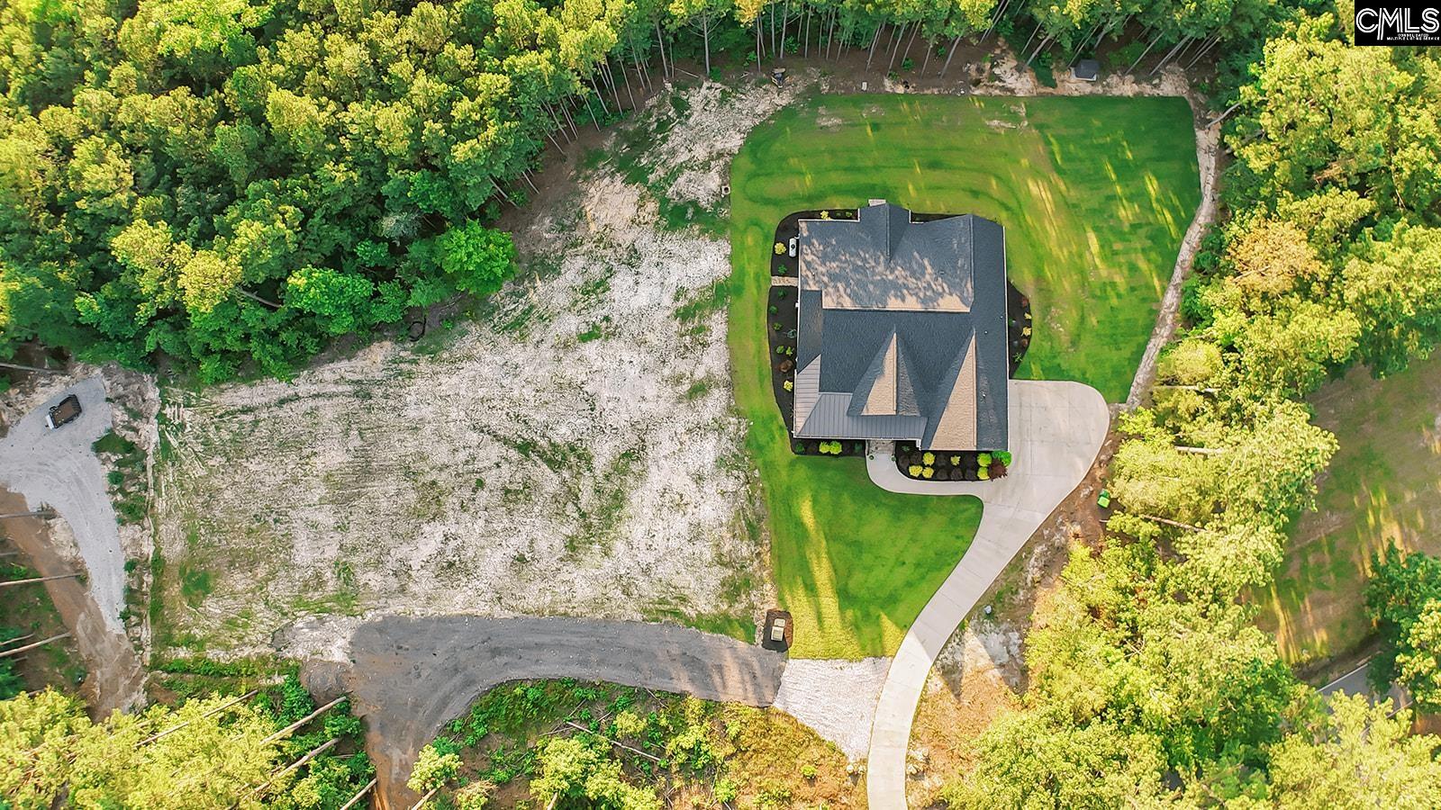 1132 Dan Comalander Drive Chapin, SC 29036