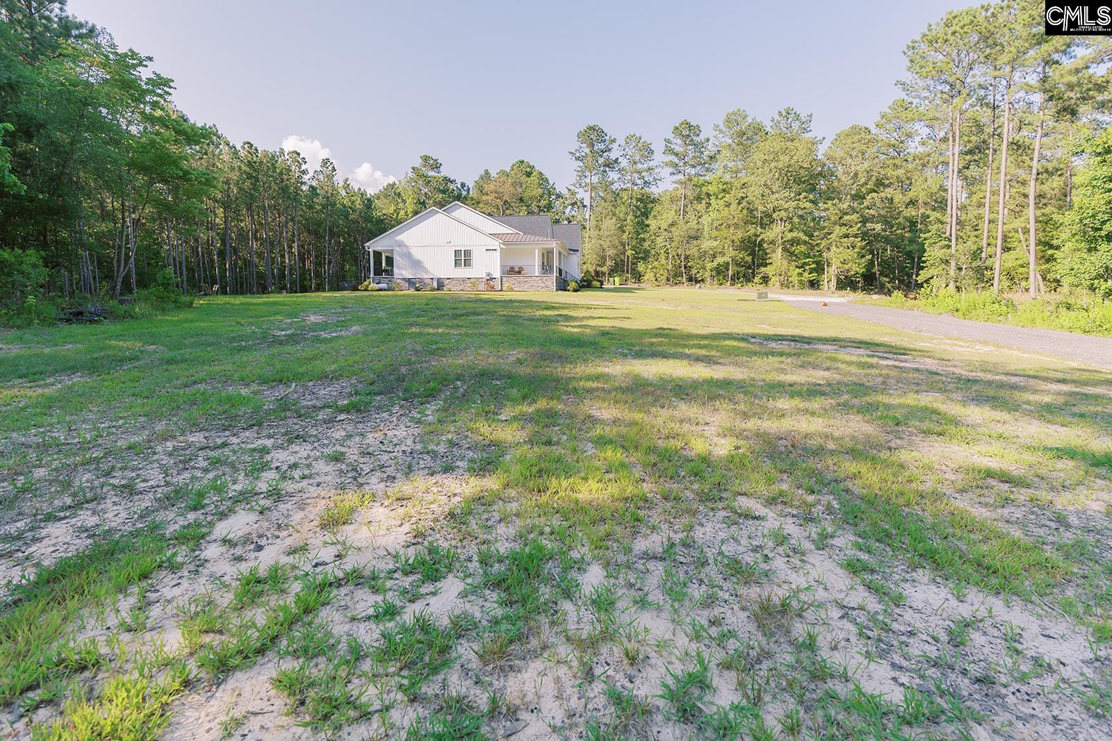 1132 Dan Comalander Drive Chapin, SC 29036