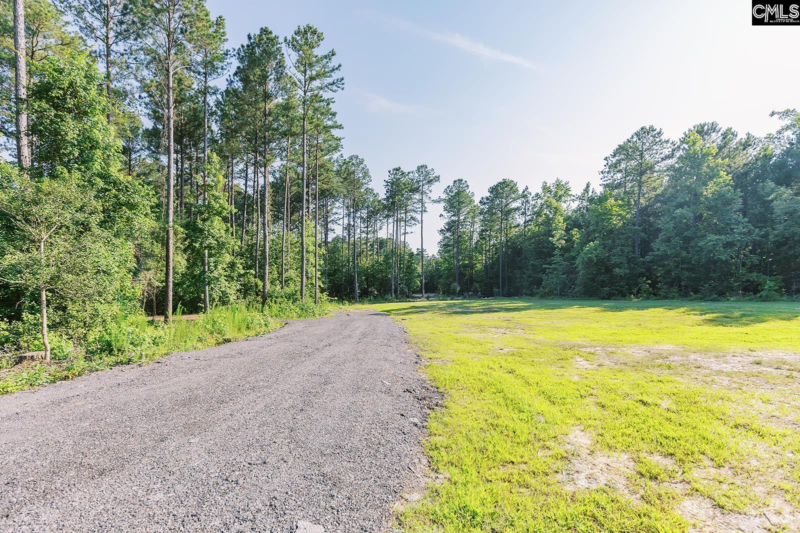 1132 Dan Comalander Drive Chapin, SC 29036