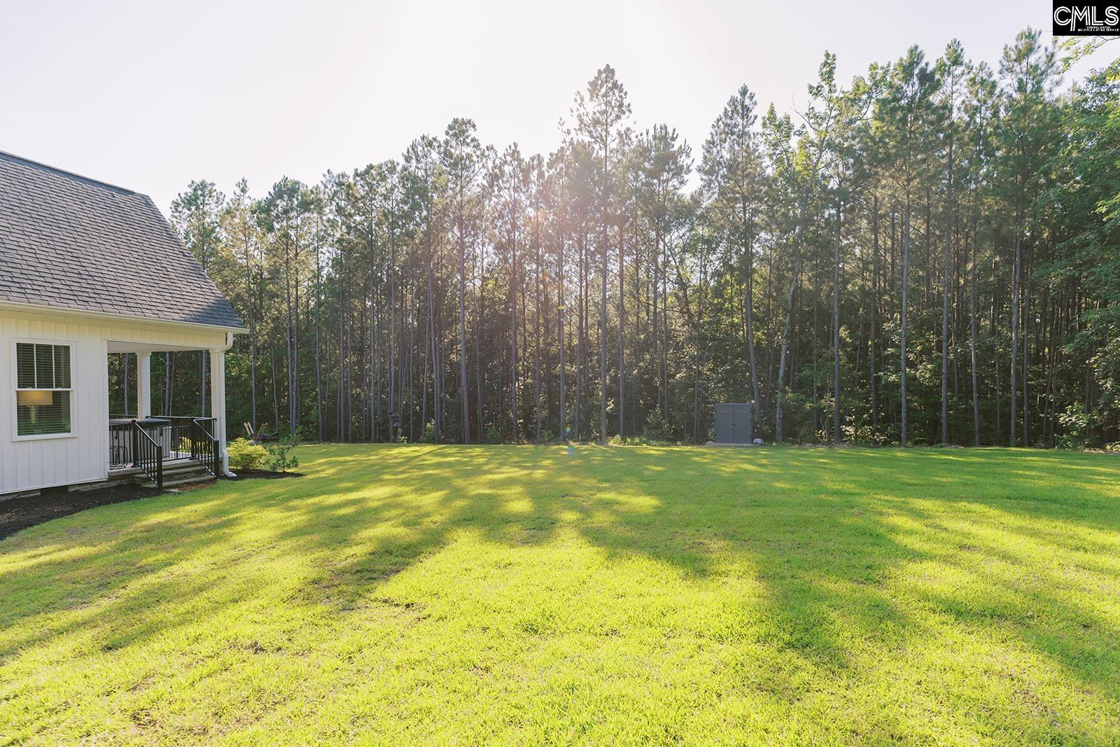 1132 Dan Comalander Drive, Chapin, South Carolina image 8