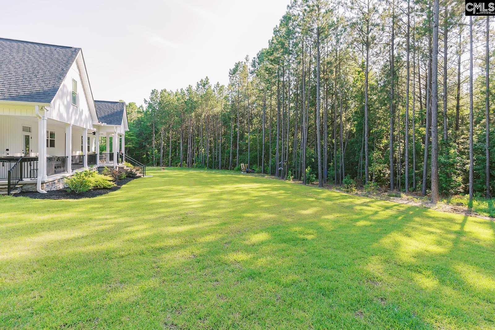 1132 Dan Comalander Drive, Chapin, South Carolina image 9