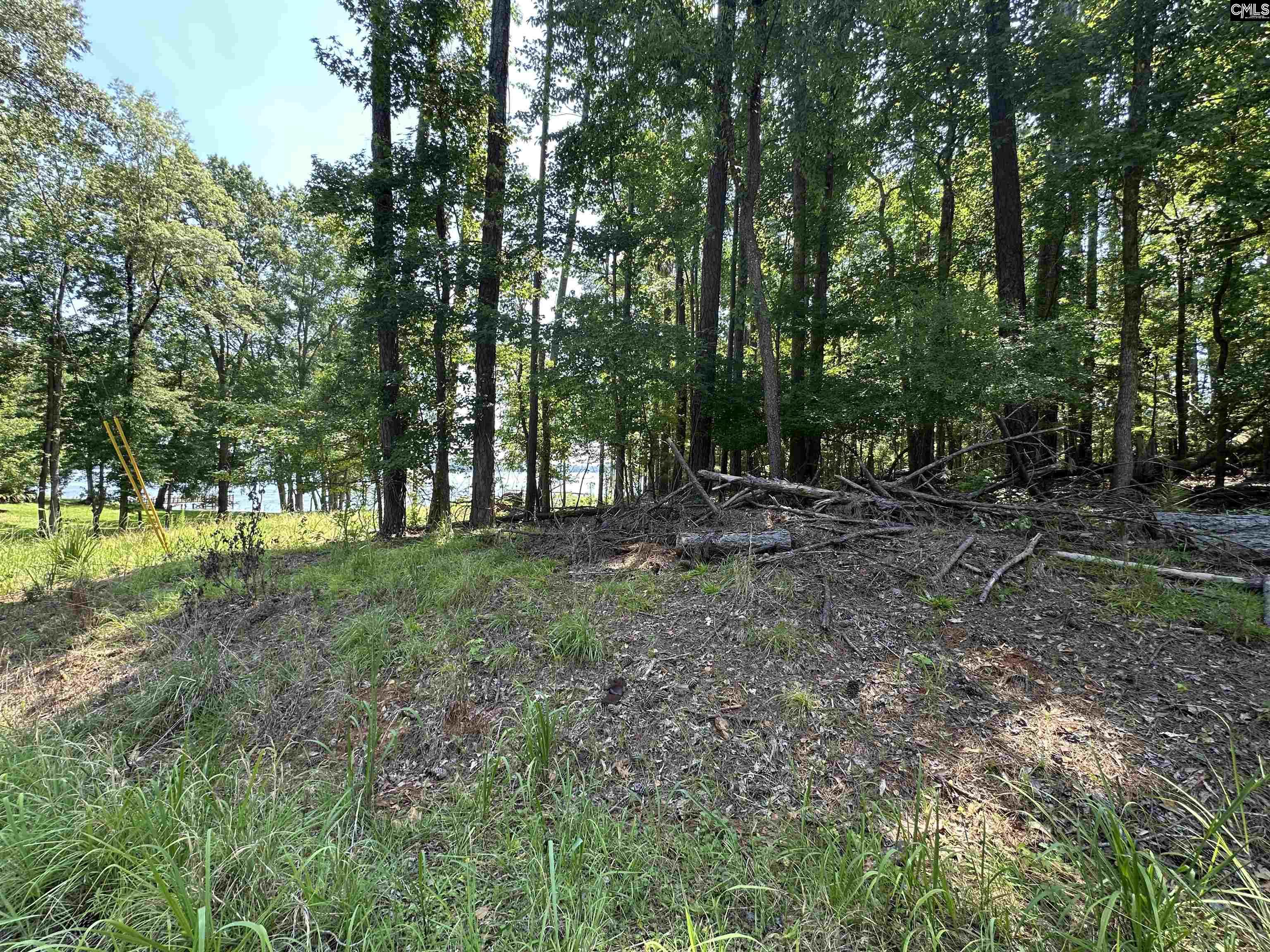 210 Hidden Circle Lane, Ridgeway, South Carolina image 3