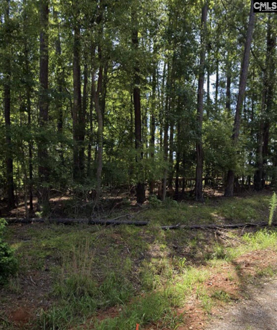 210 Hidden Circle Lane, Ridgeway, South Carolina image 4