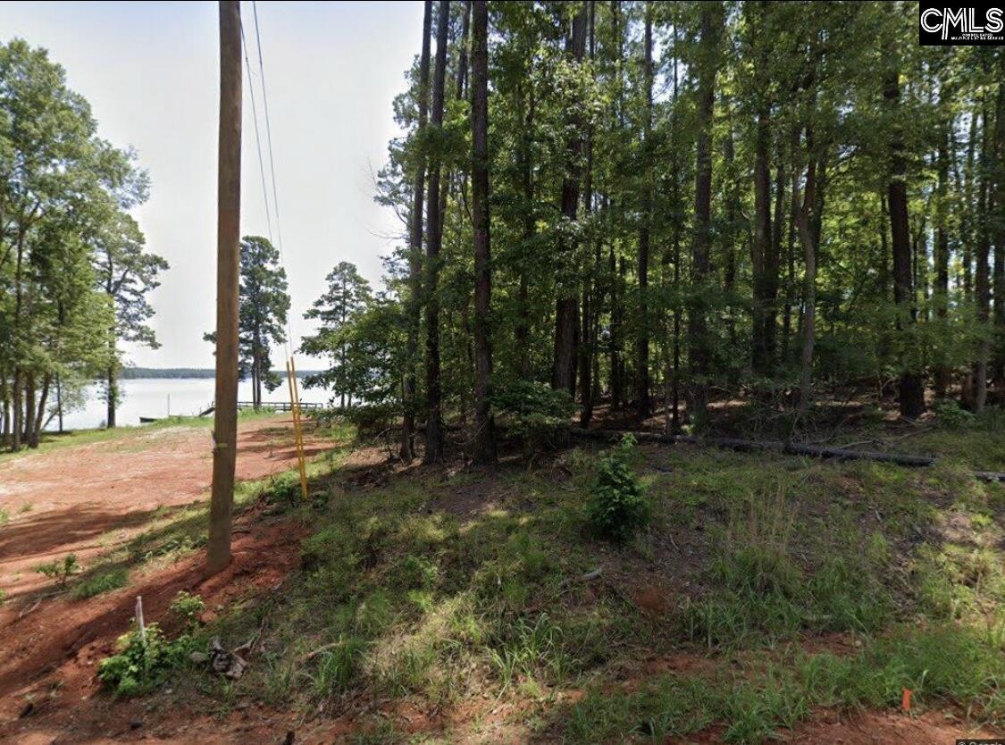 210 Hidden Circle Lane, Ridgeway, South Carolina image 5