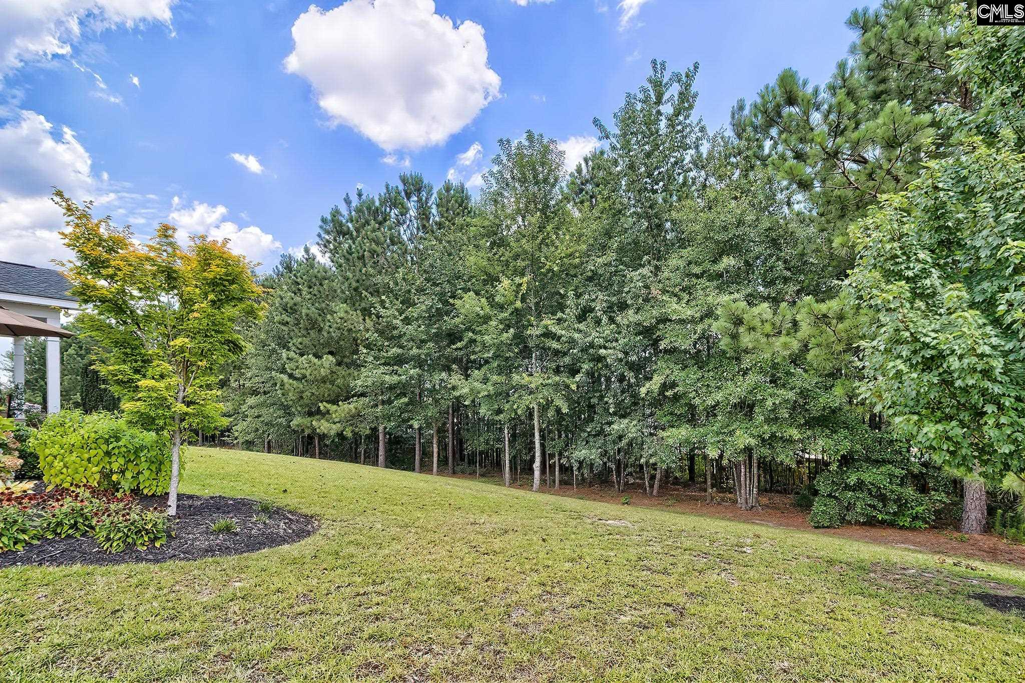 1167 Long Ridge Way, Lexington, South Carolina image 37