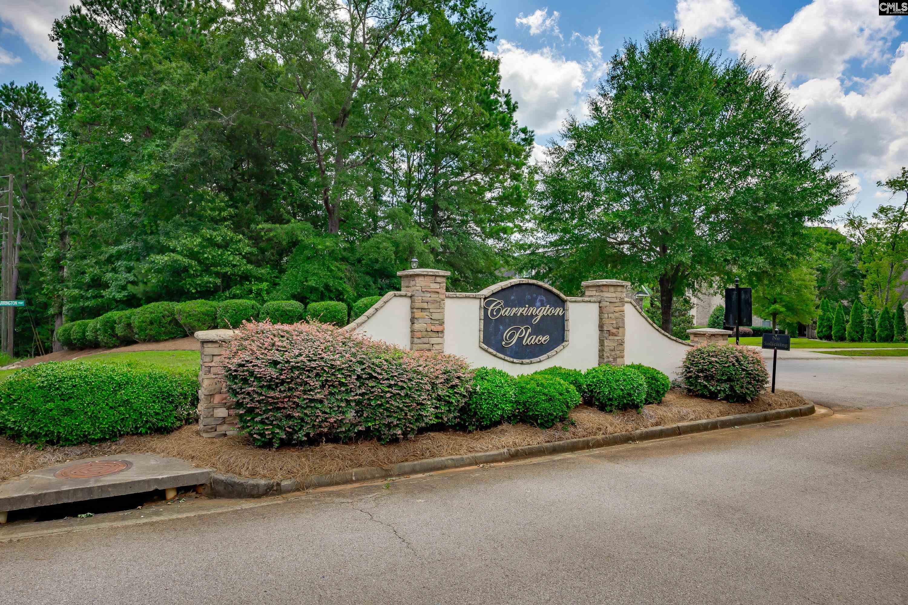 205 Old Carrington Parkway Lexington, SC 29072