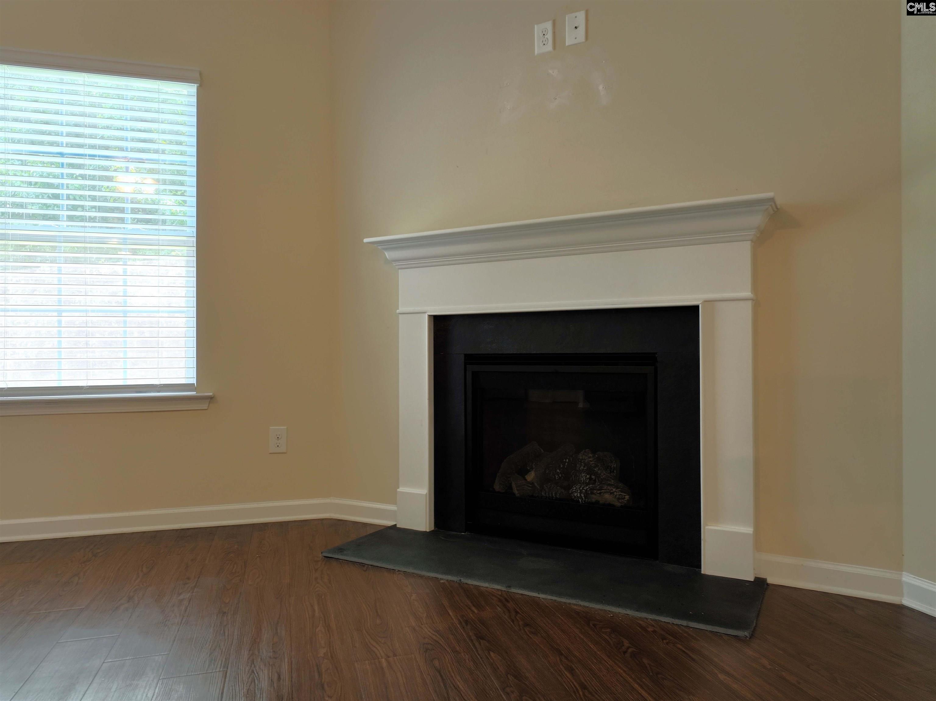 1151 Campbell Ridge Drive, Elgin, South Carolina image 3