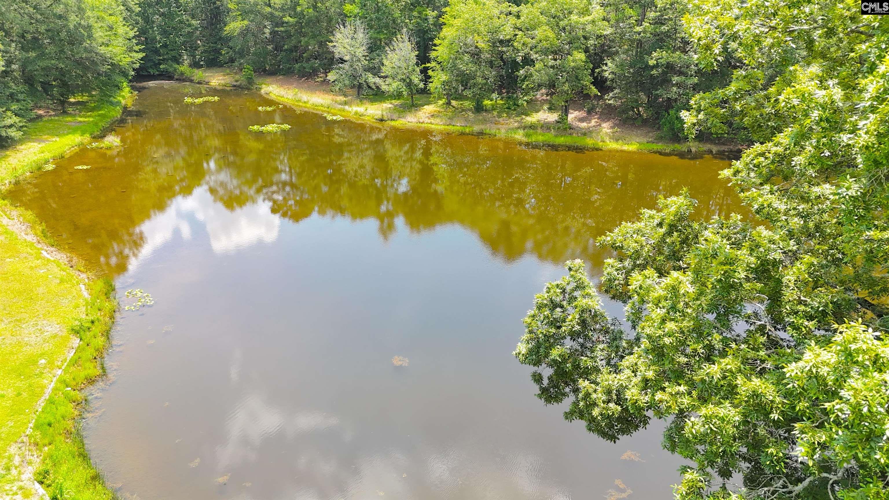 5404 Fairview Road Batesburg, SC 29006