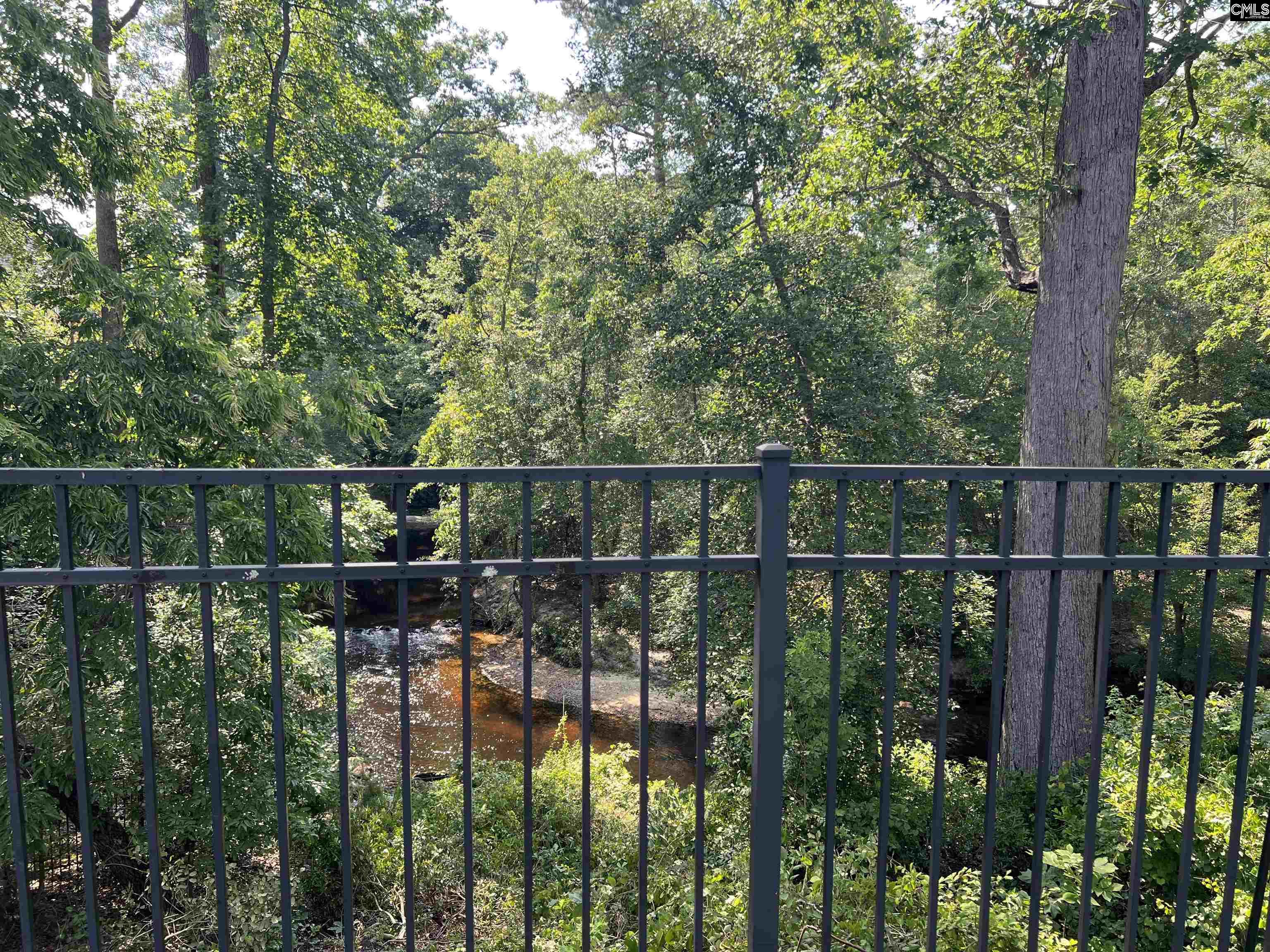 127 Brooklet Drive, Lexington, South Carolina image 49
