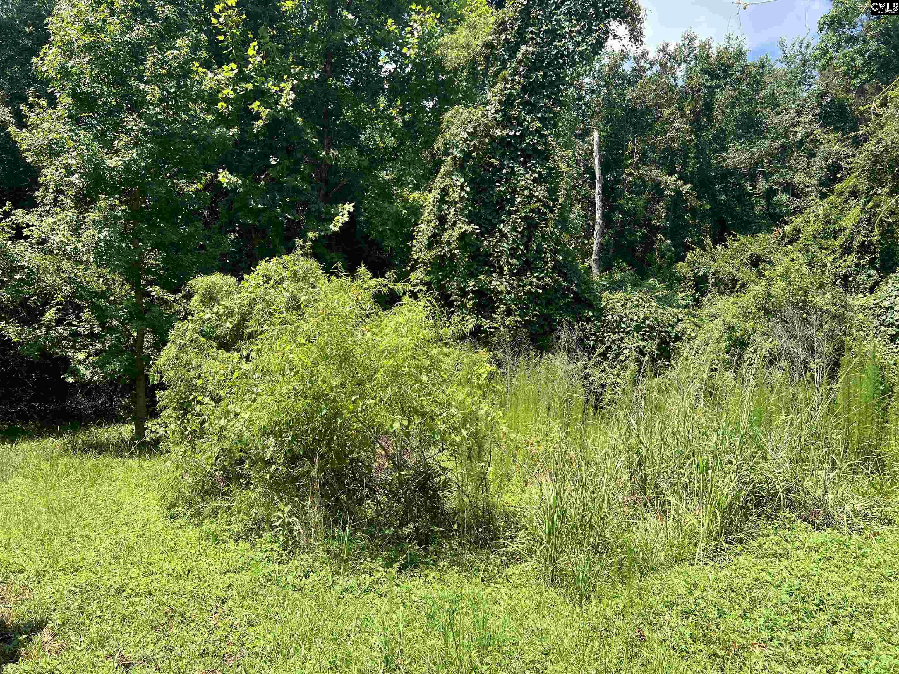 4141 Edmund Highway, West Columbia, South Carolina image 14
