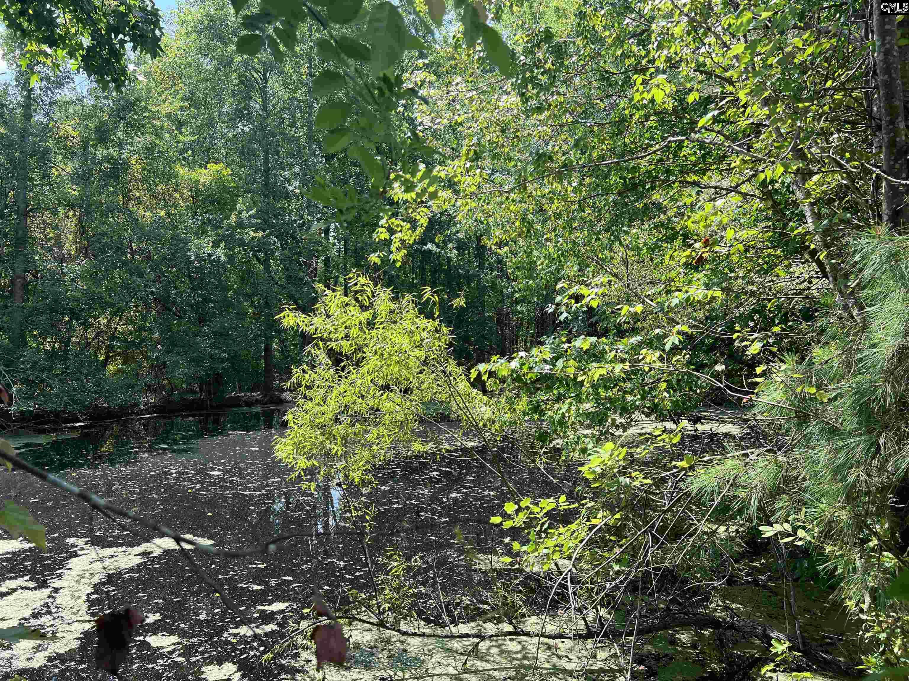 4141 Edmund Highway, West Columbia, South Carolina image 3