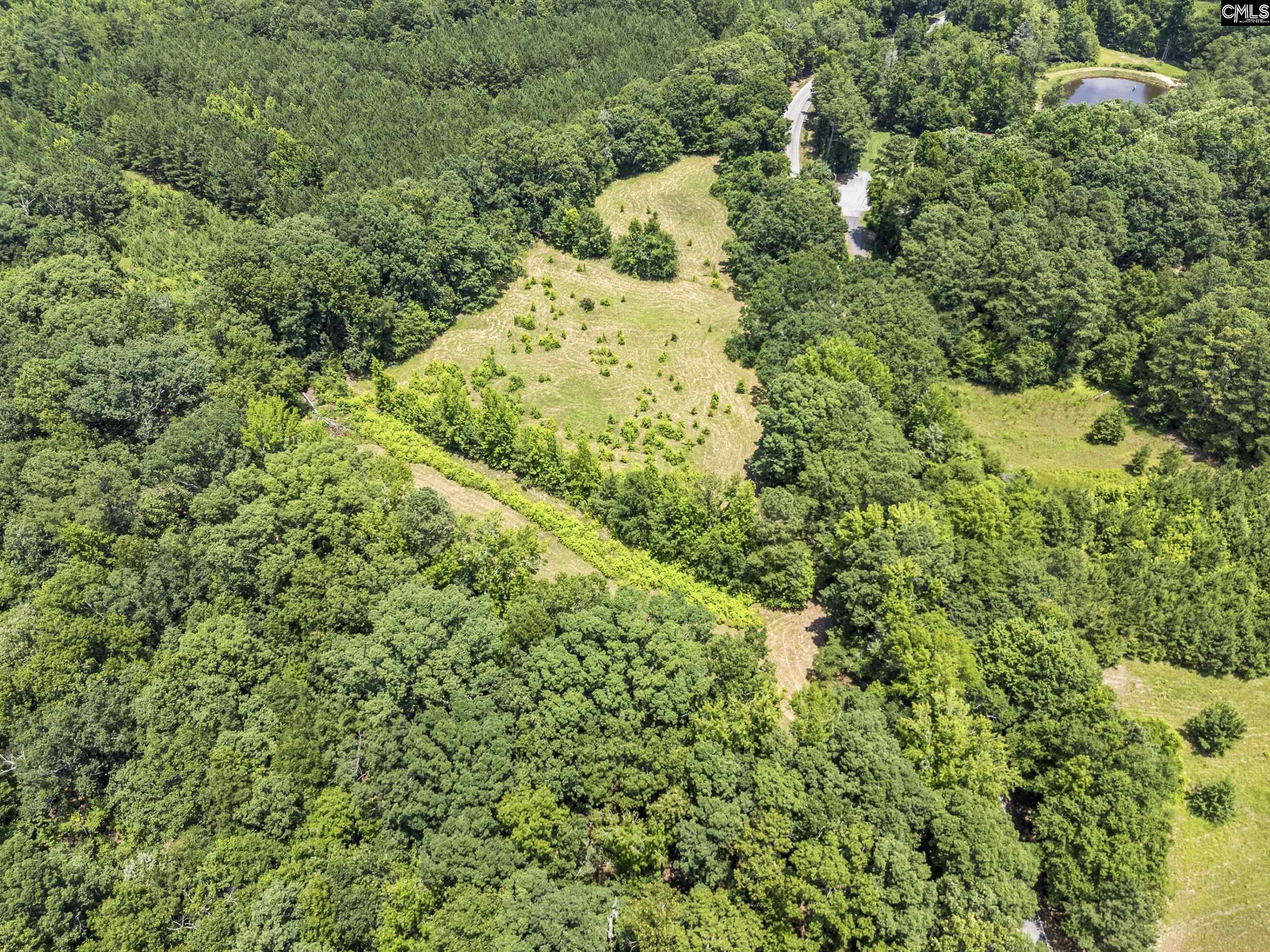 Beech Creek Road, Lexington, South Carolina image 12