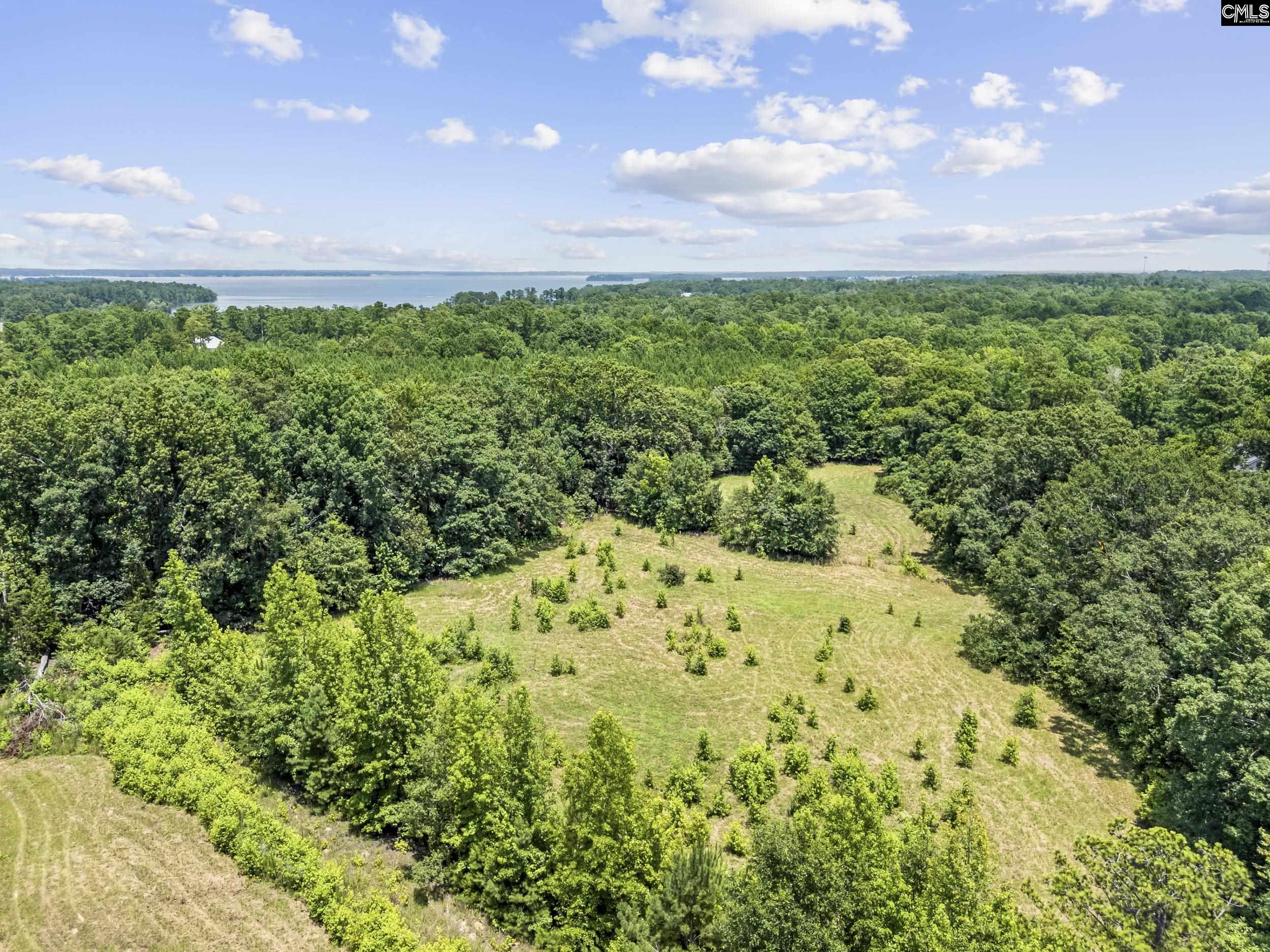 Beech Creek Road, Lexington, South Carolina image 13