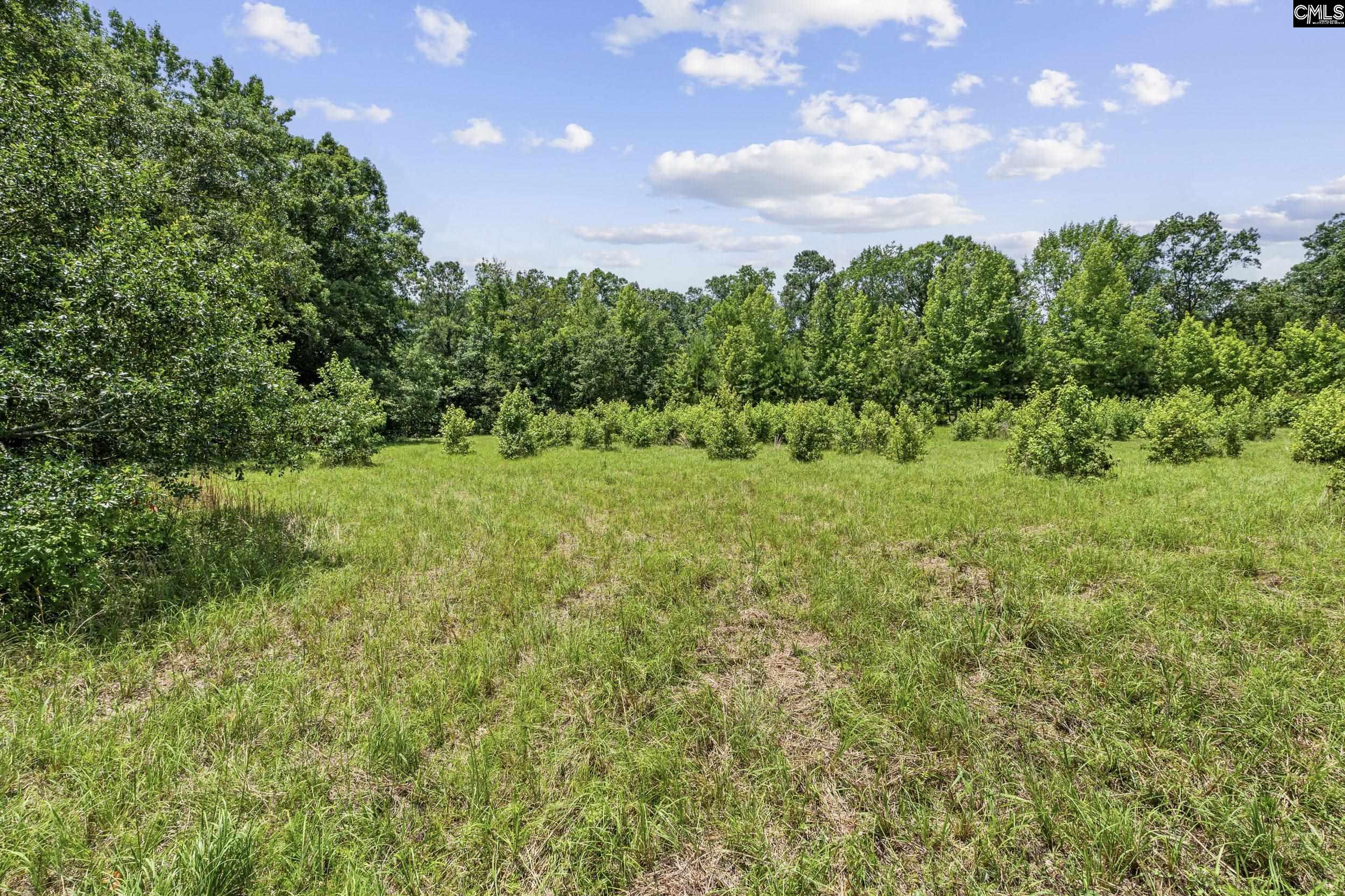 Beech Creek Road, Lexington, South Carolina image 5