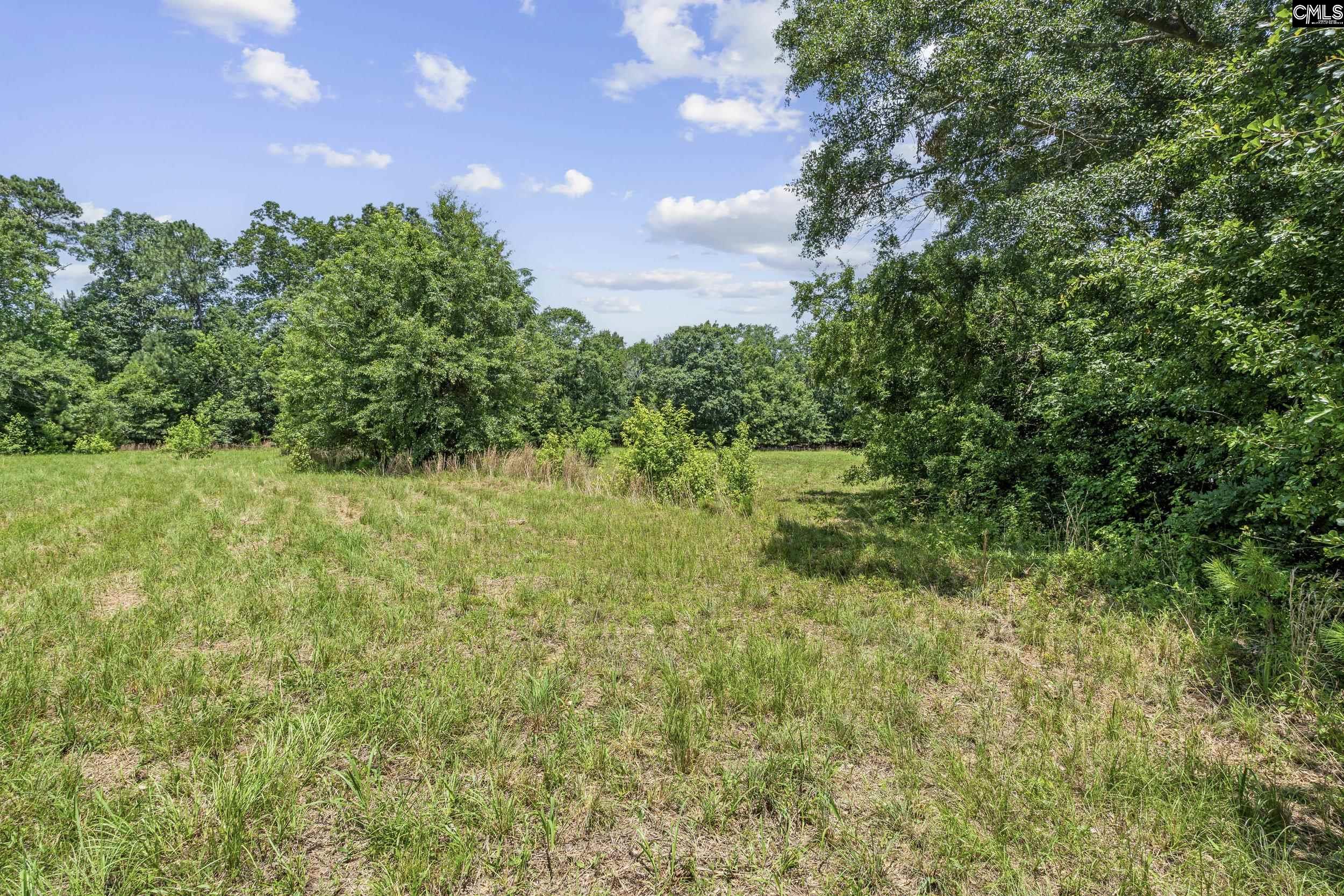 Beech Creek Road, Lexington, South Carolina image 6