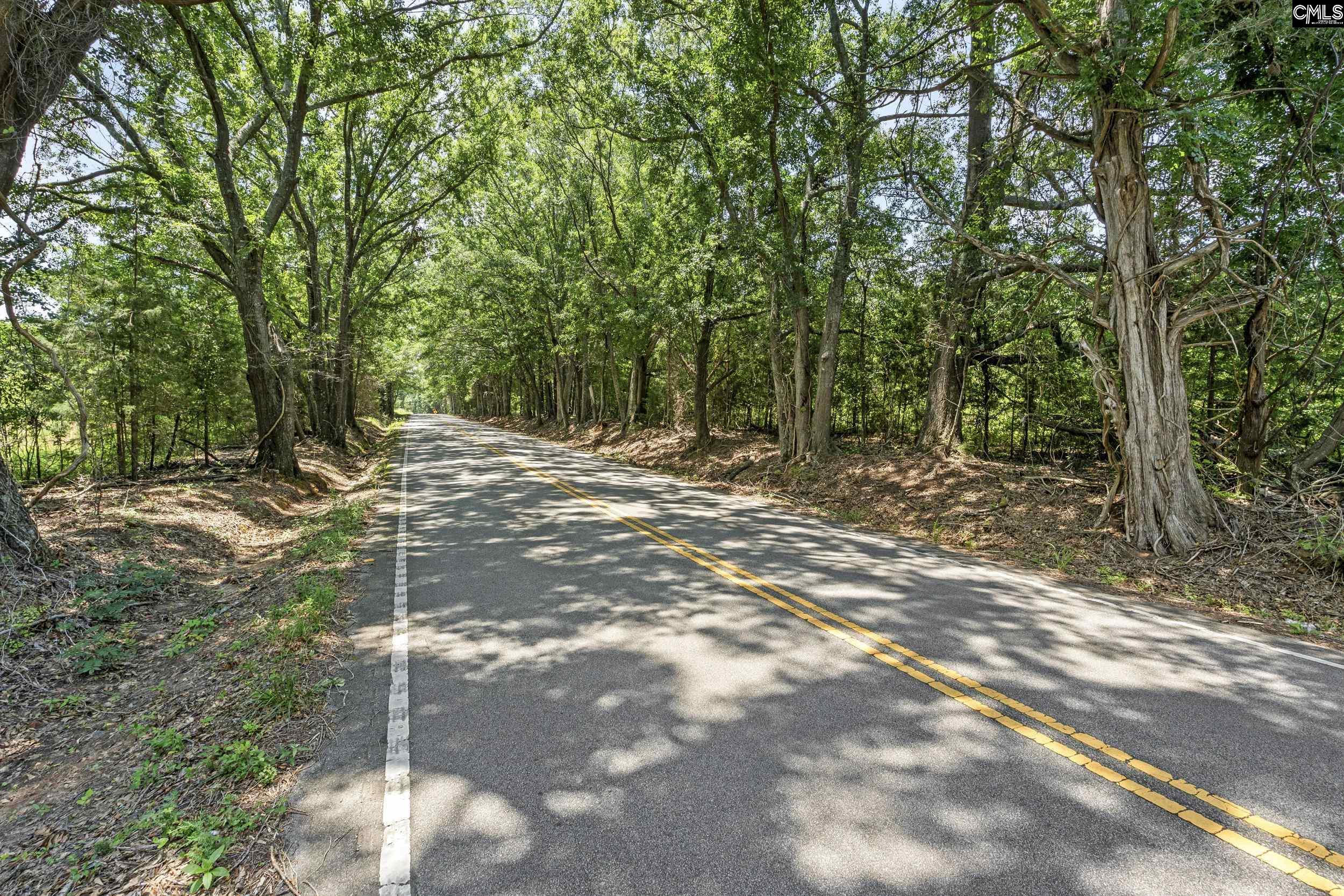 Beech Creek Road, Lexington, South Carolina image 8