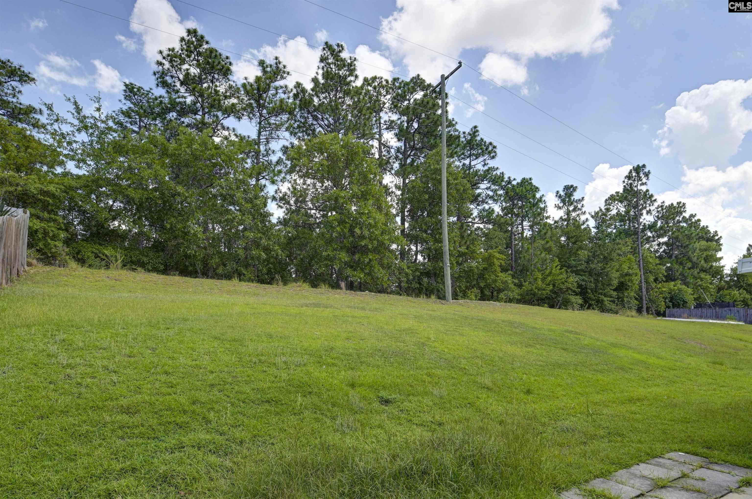 122 Flinchum Place, Lexington, South Carolina image 12