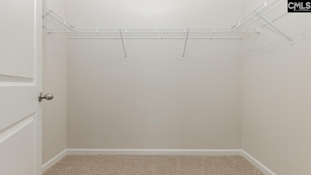 252 Blue Valley Court, Columbia, South Carolina image 18