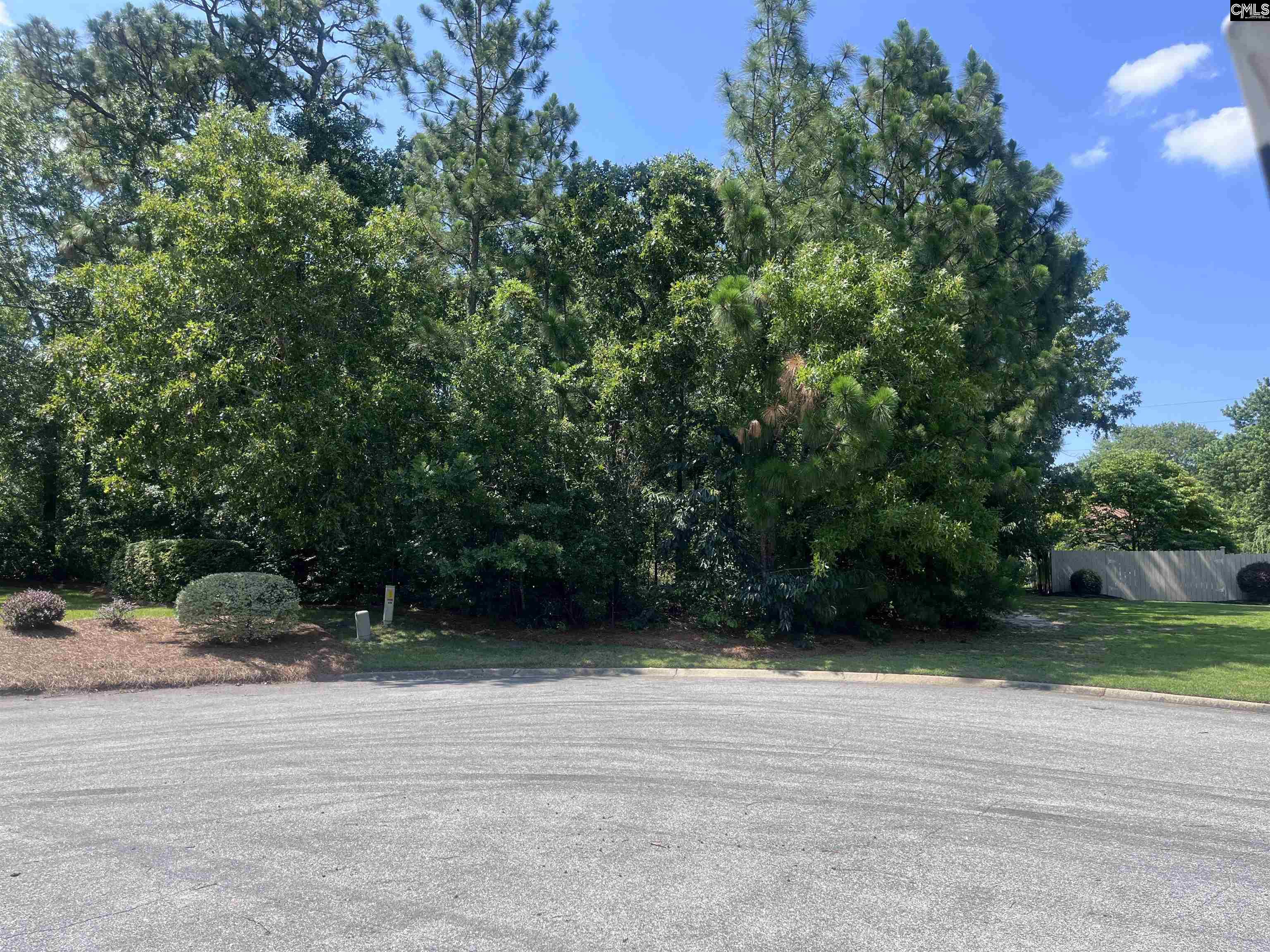 412 Saint Claire Place, Lexington, South Carolina image 2