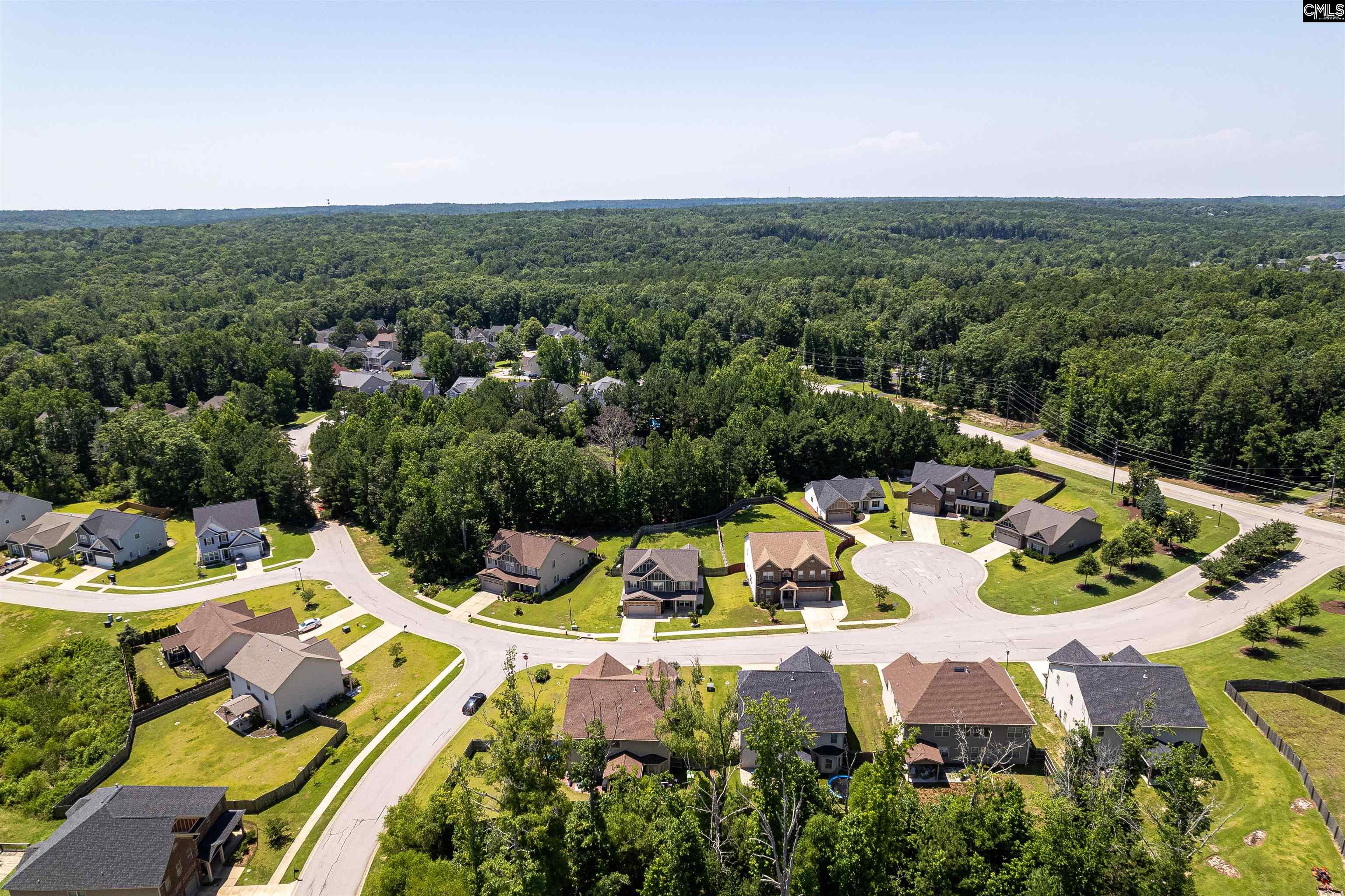 120 E Bowmore Drive, Blythewood, South Carolina image 5
