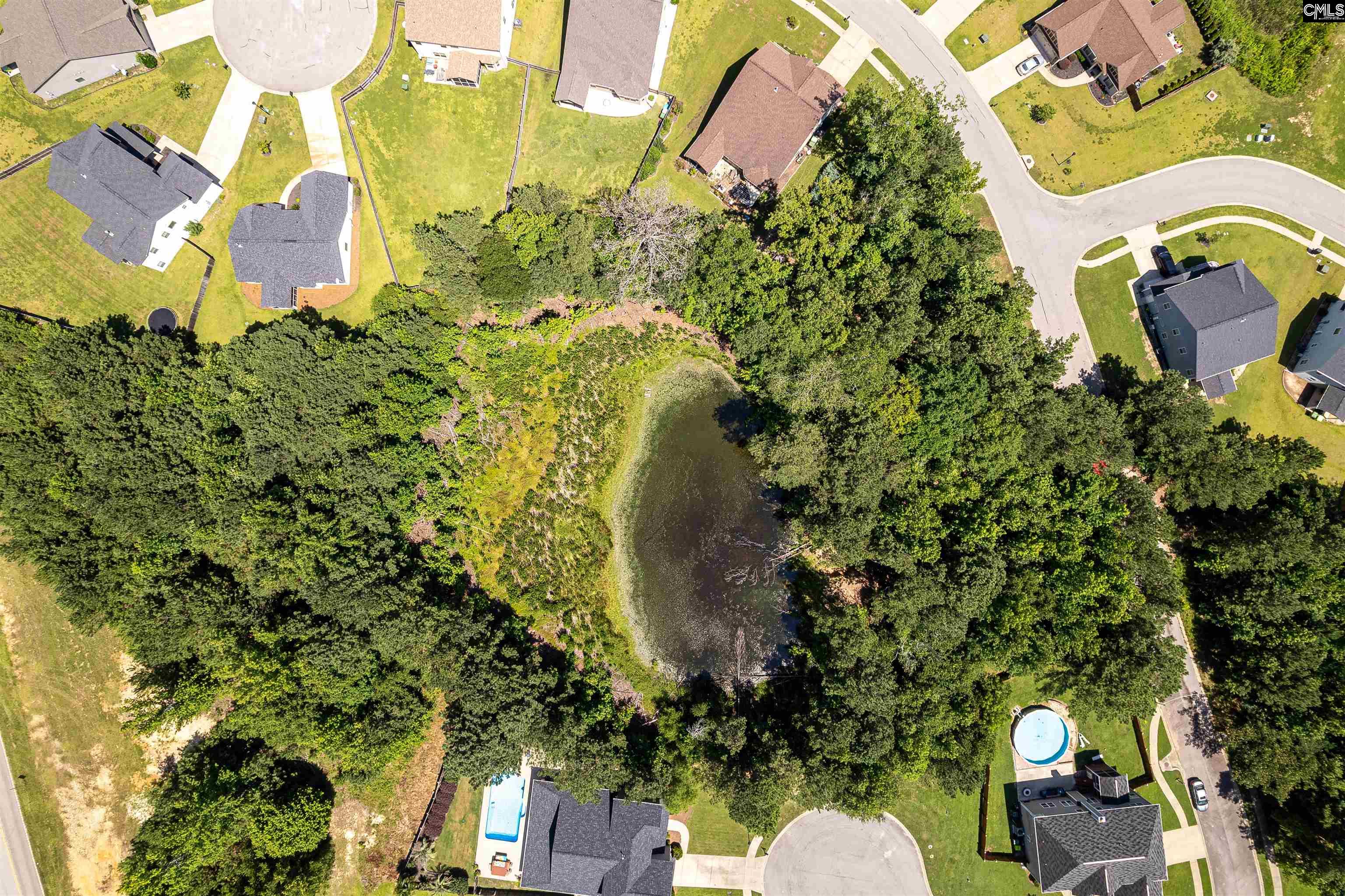 120 E Bowmore Drive, Blythewood, South Carolina image 39