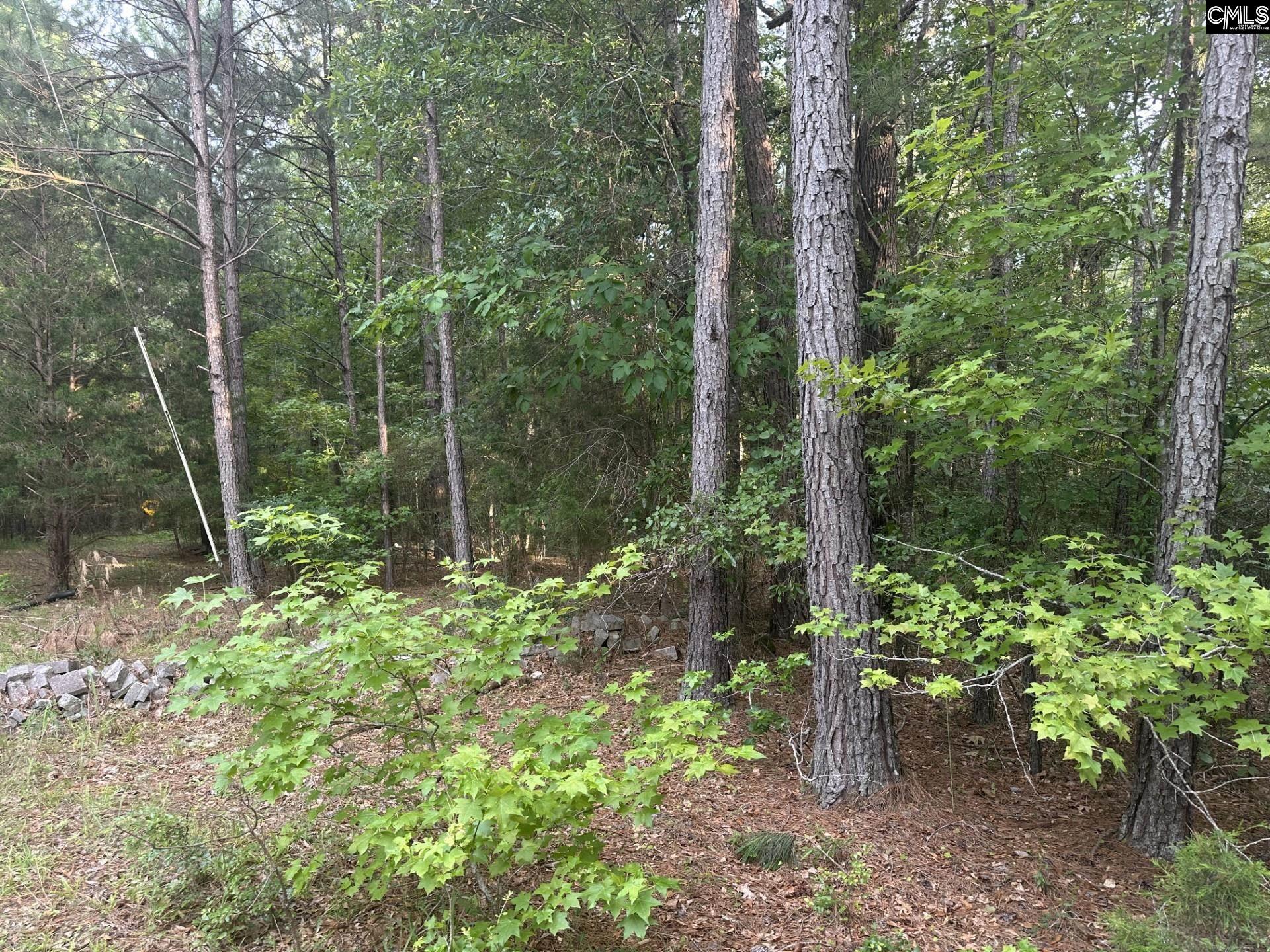 320 Dewdrop Drive, Ridgeway, South Carolina image 2