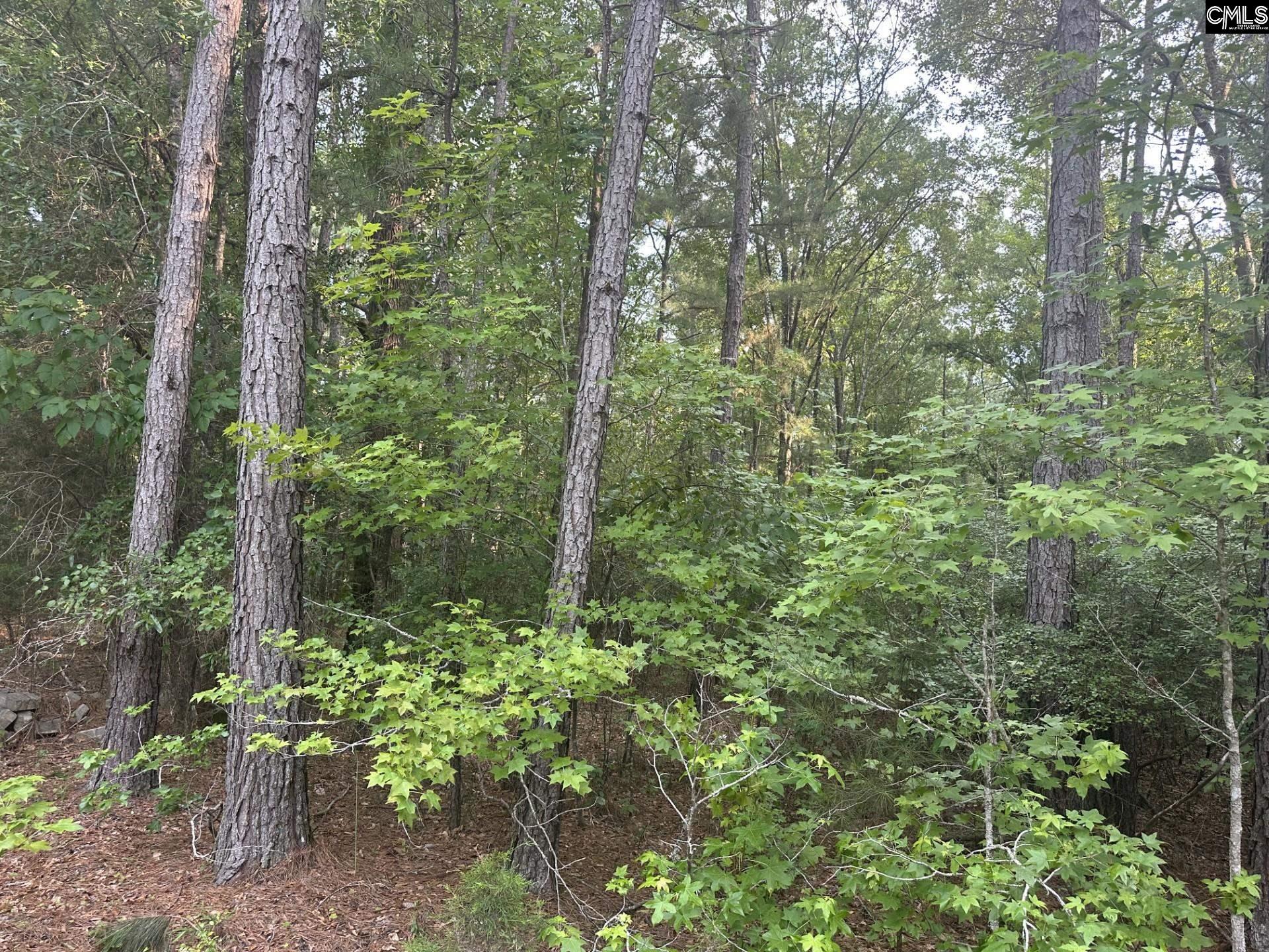 320 Dewdrop Drive, Ridgeway, South Carolina image 4
