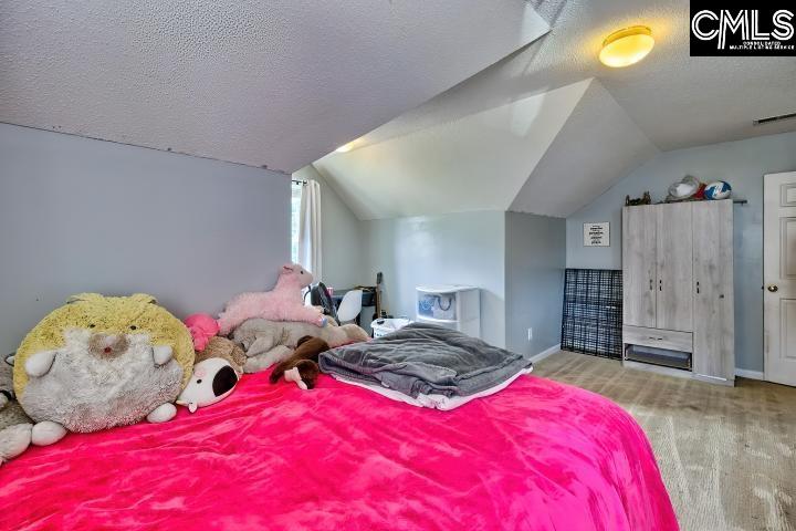 211 Lothrop Hill Road, Lexington, South Carolina image 30