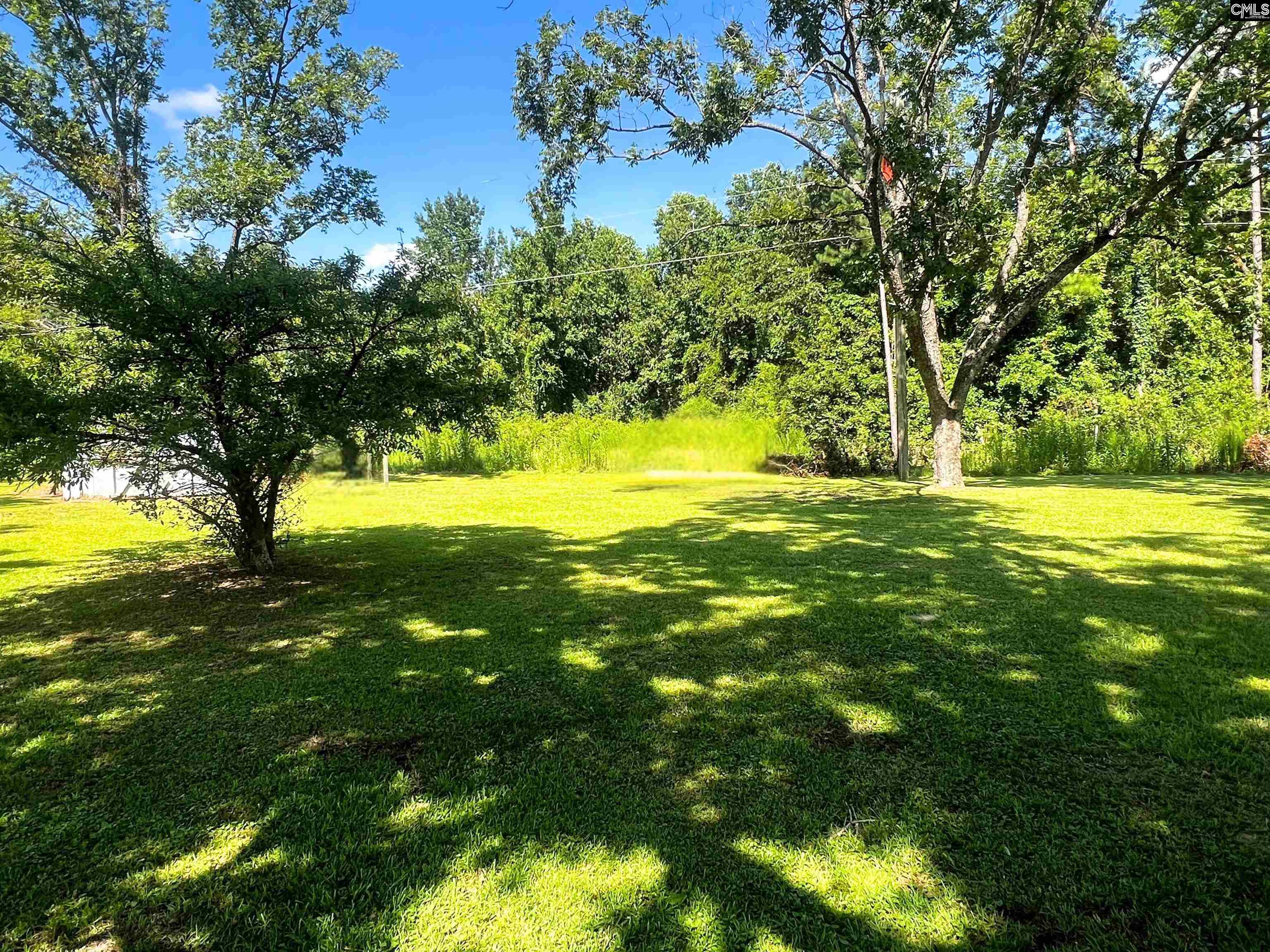 1685 Legrand Smoak Street, Cordova, South Carolina image 18