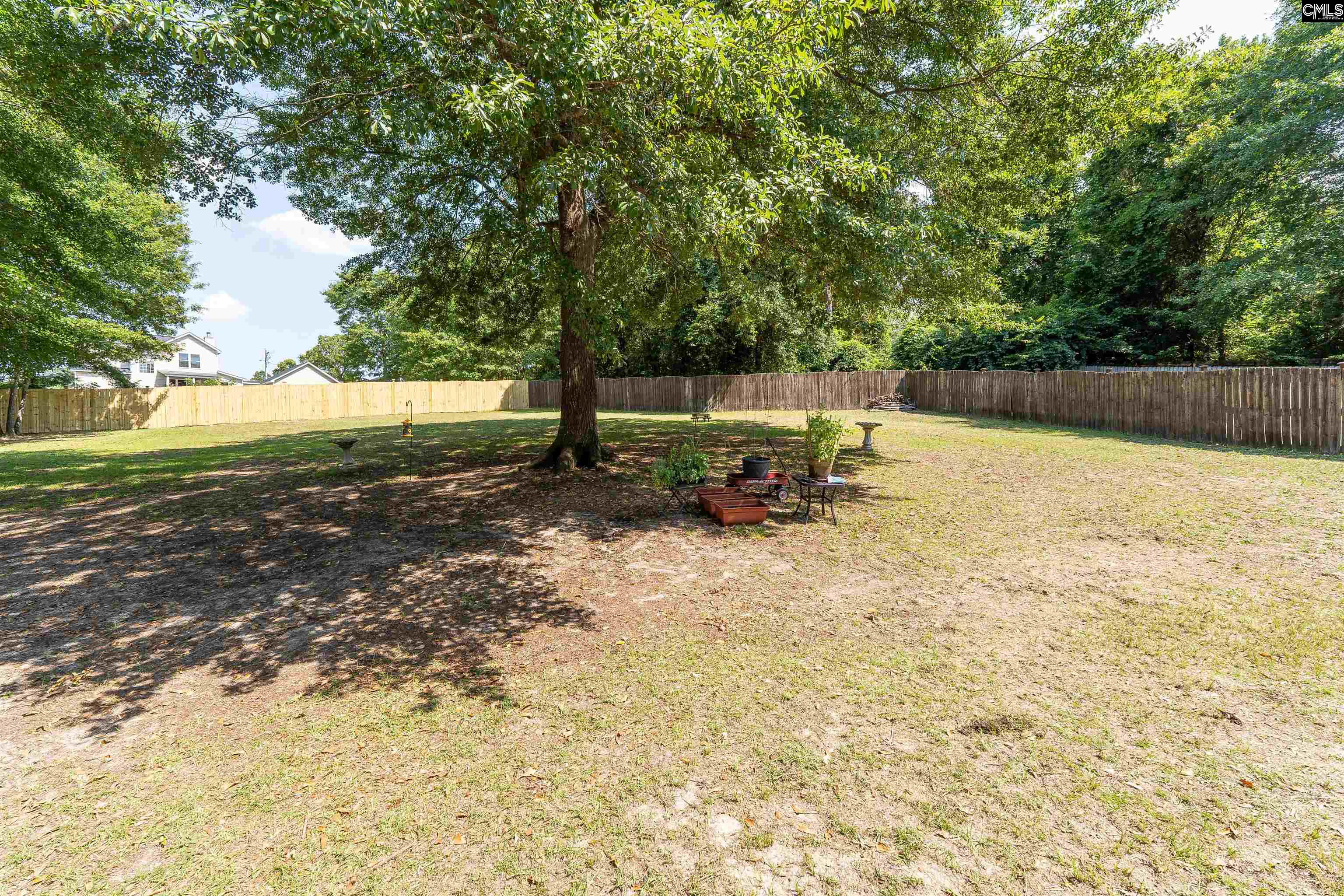 115 Painted Pony Court, Elgin, South Carolina image 29