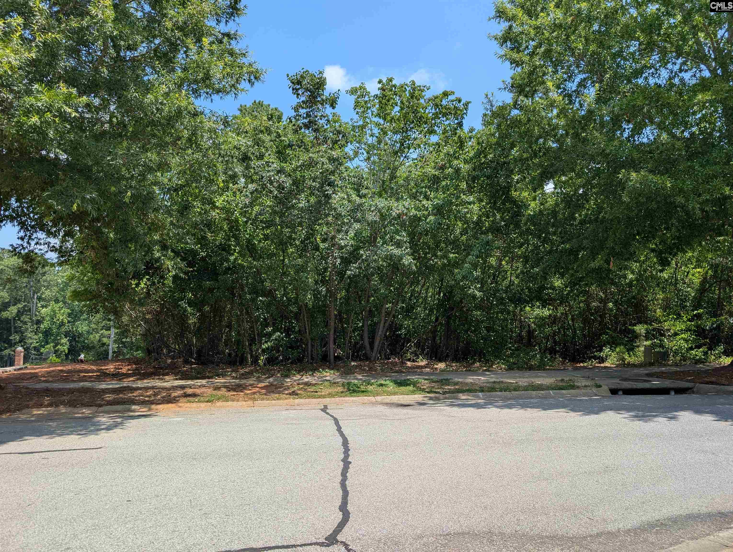 1060 Coogler Crossing Drive, Blythewood, South Carolina image 1