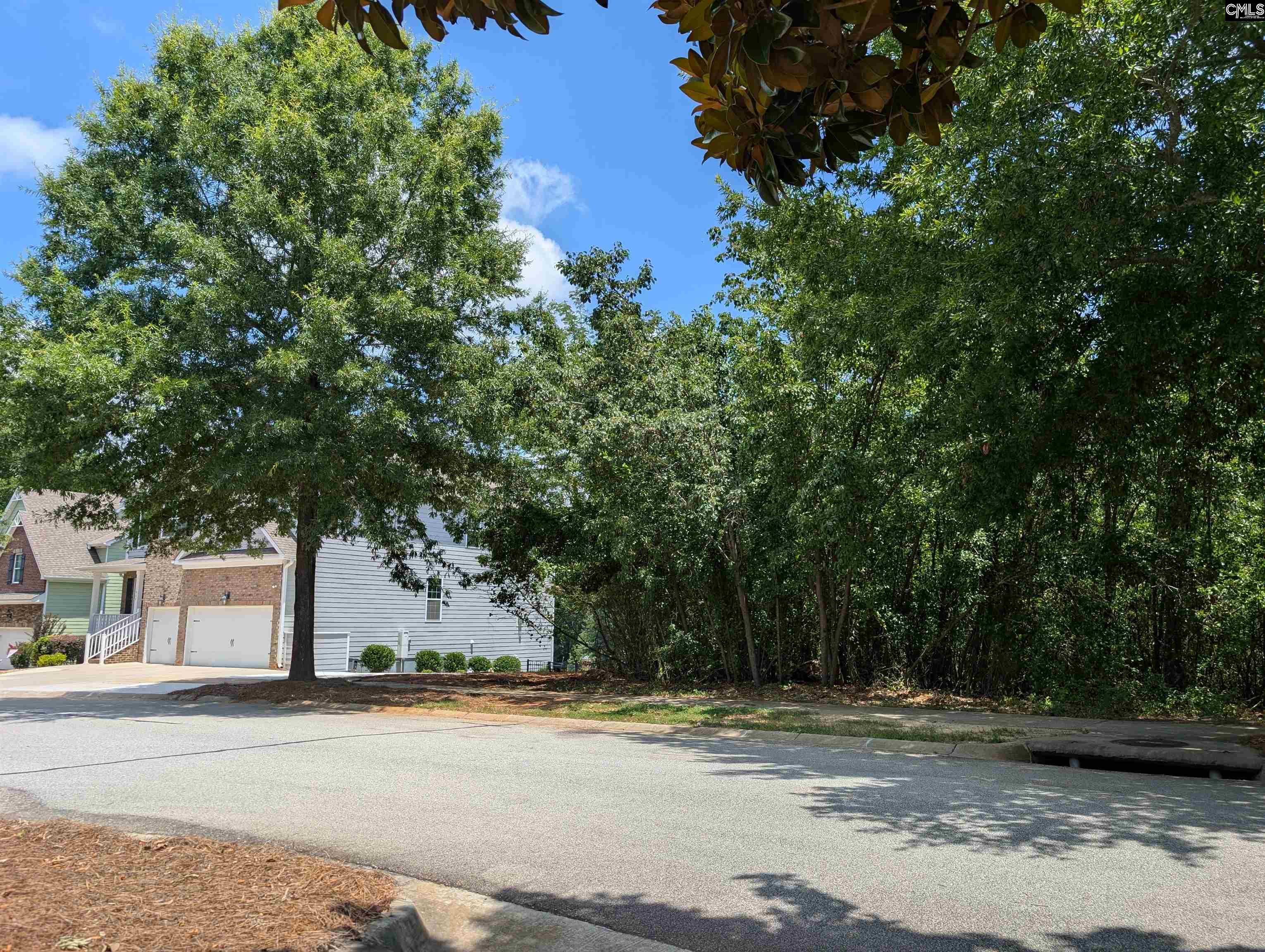 1060 Coogler Crossing Drive, Blythewood, South Carolina image 4