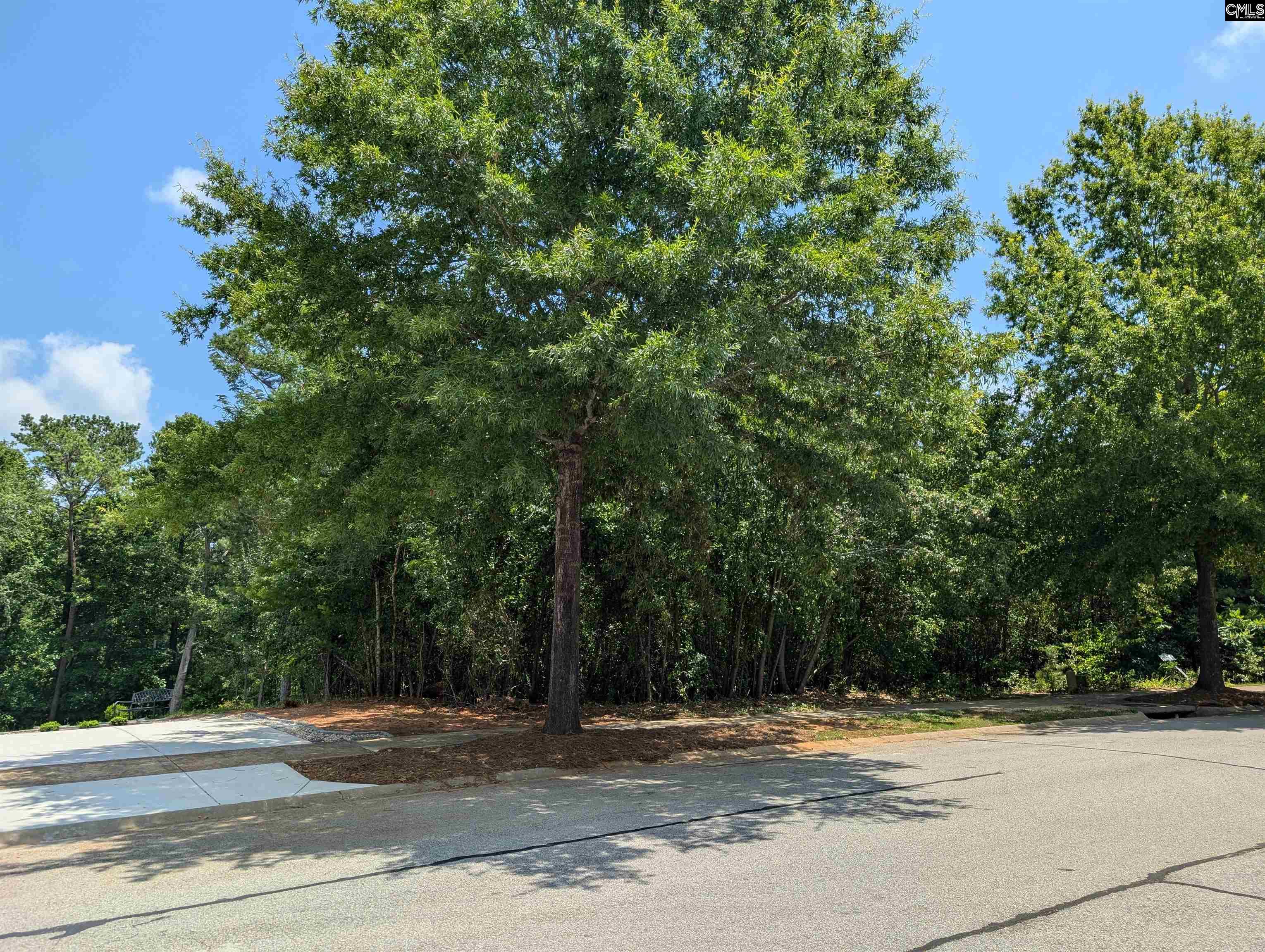 1060 Coogler Crossing Drive, Blythewood, South Carolina image 5