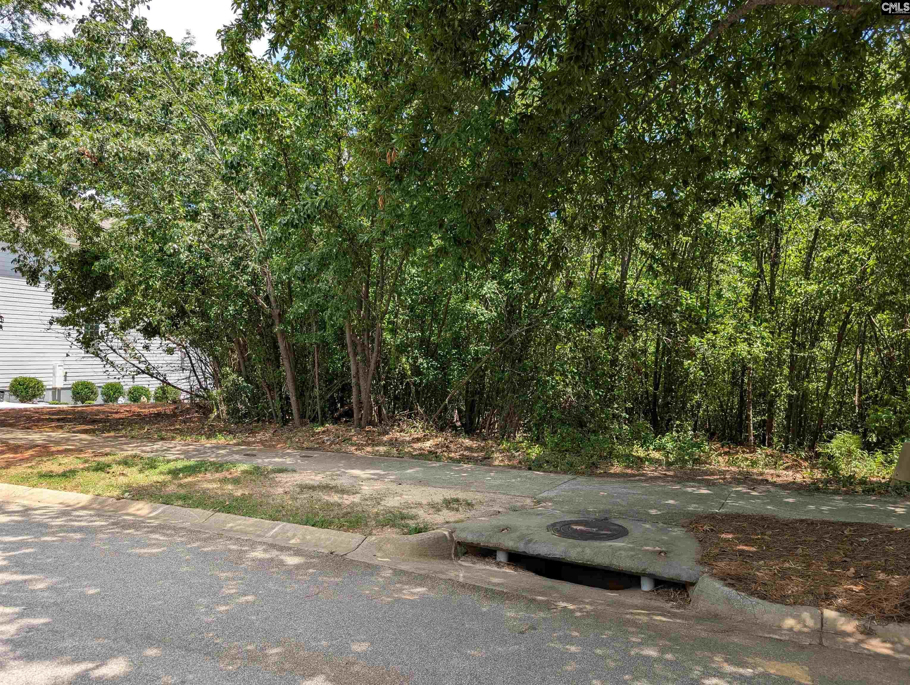 1060 Coogler Crossing Drive, Blythewood, South Carolina image 7
