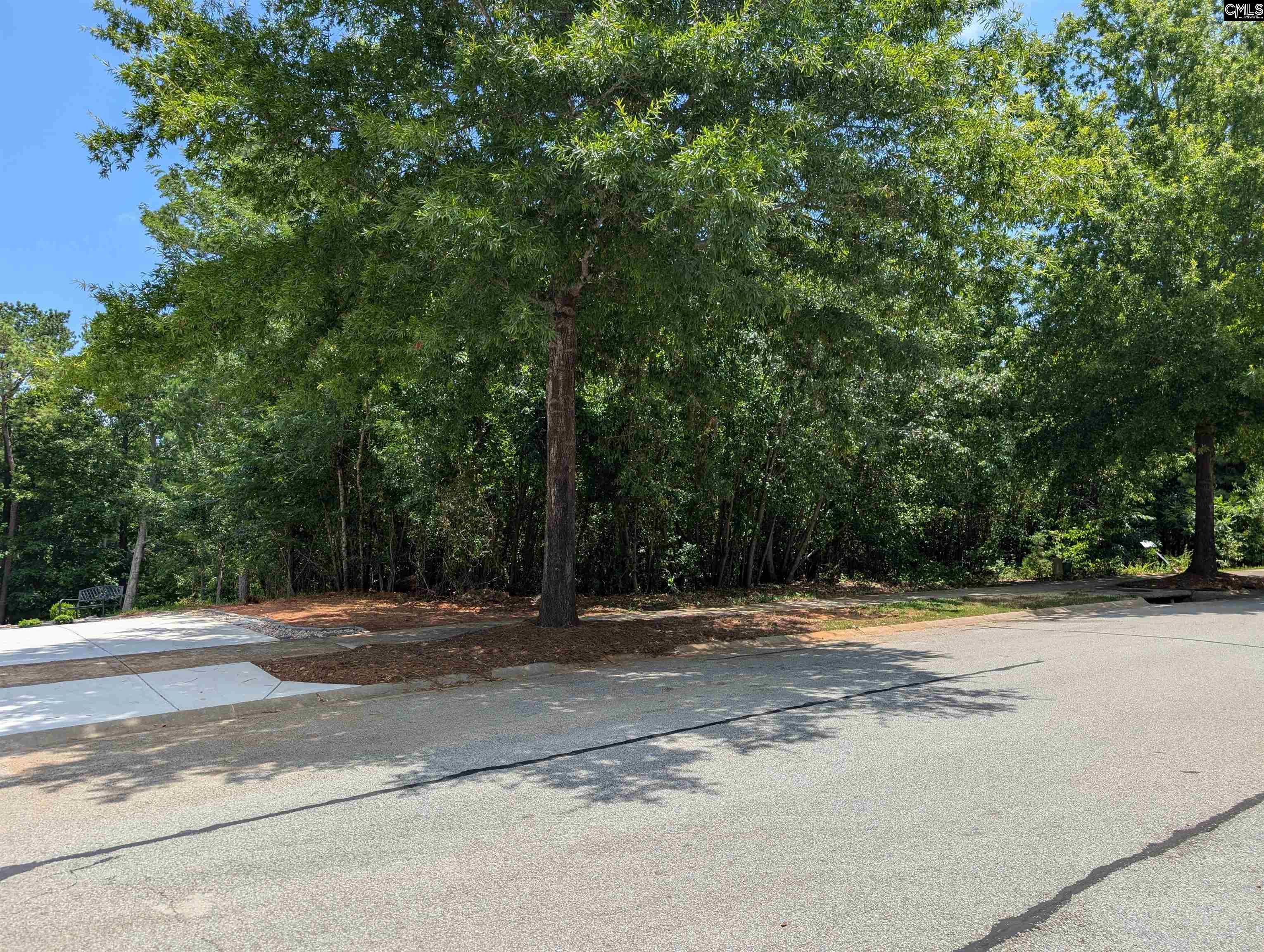 1060 Coogler Crossing Drive, Blythewood, South Carolina image 8