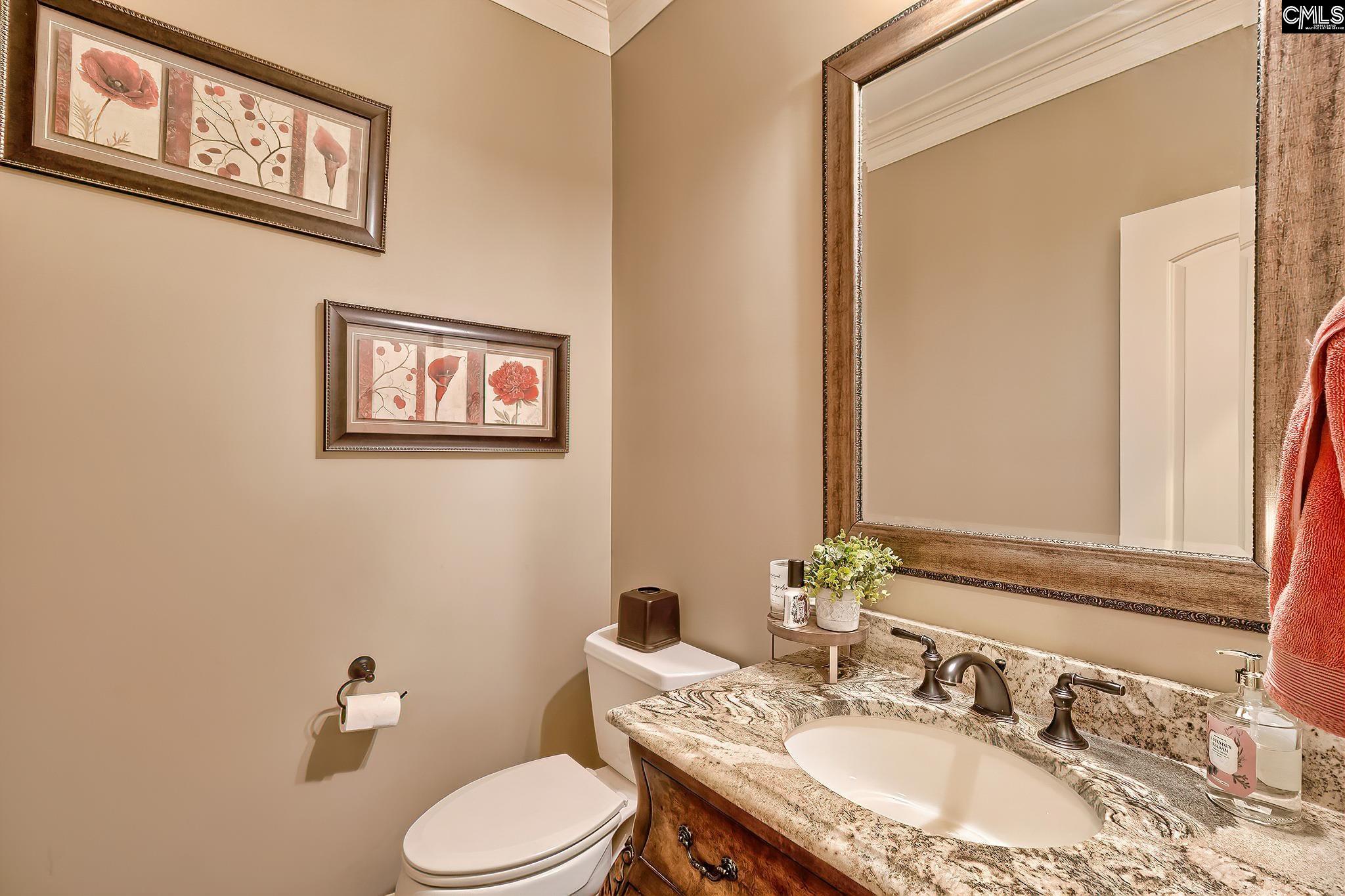 113 Pebble Stone Drive, Lexington, South Carolina image 26