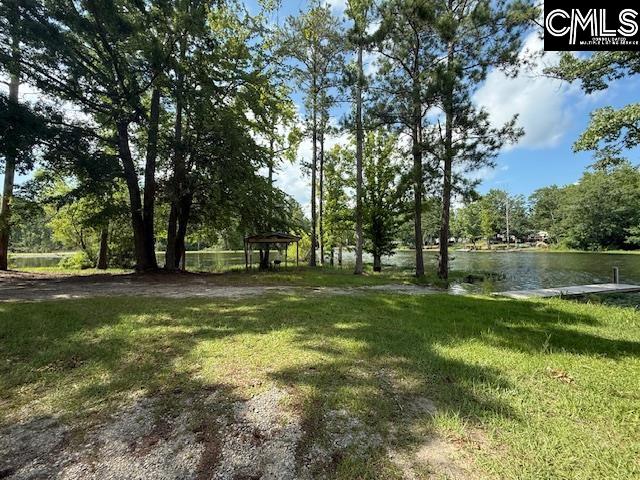 285 Churchill Landing Road, Prosperity, South Carolina image 9