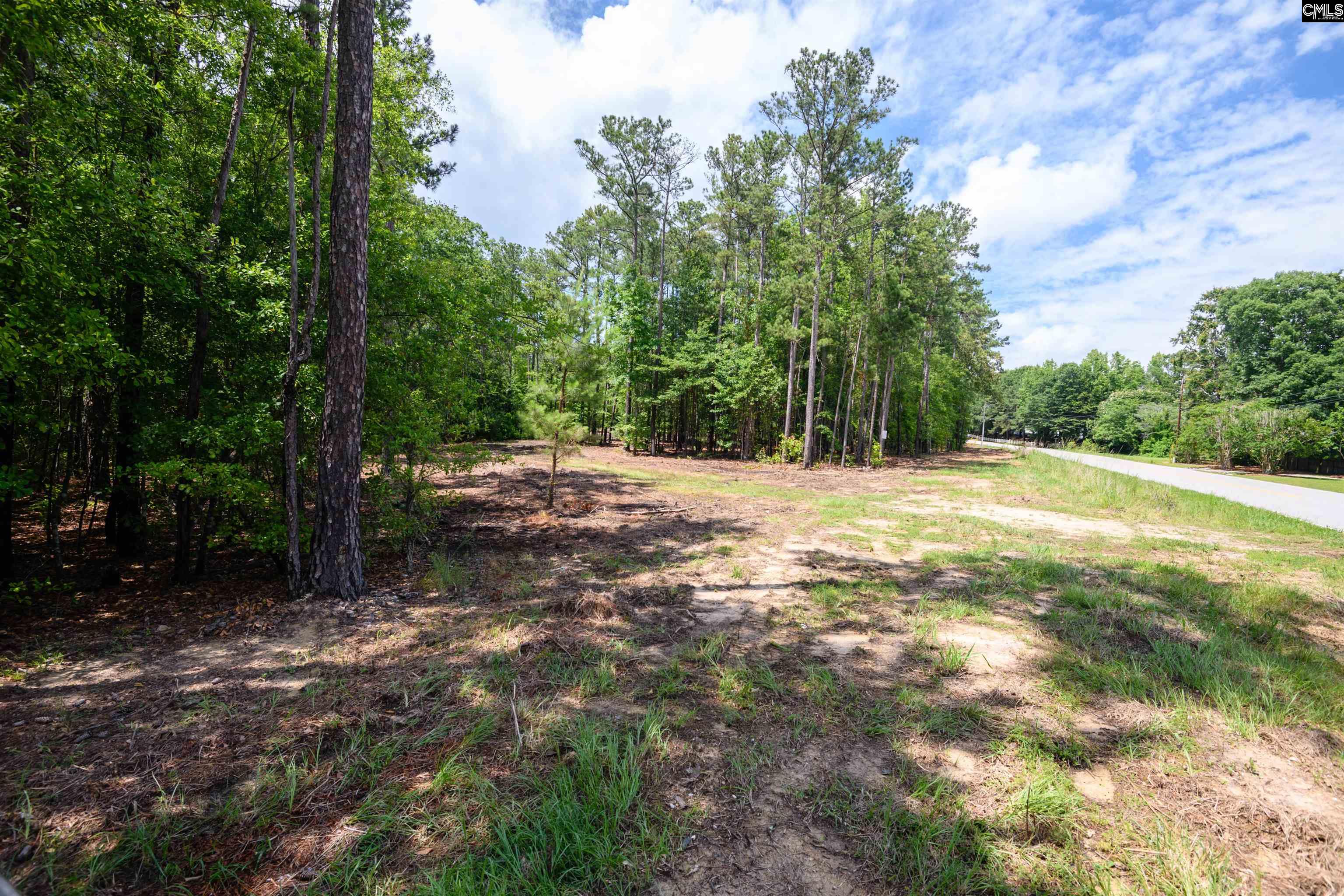 227 Maxie Road, Lexington, South Carolina image 9