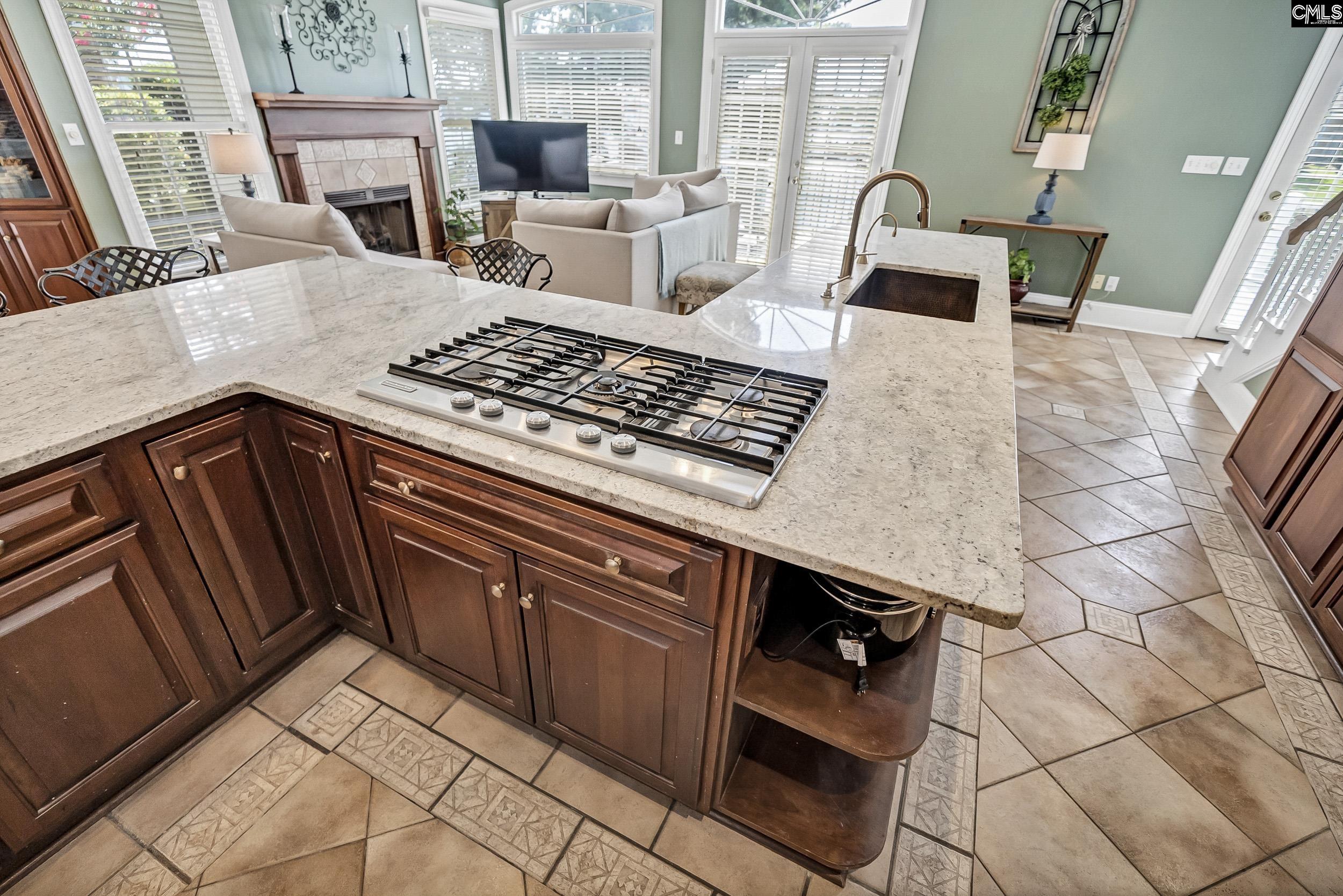 216 Dawn Island Trail, Chapin, South Carolina image 30
