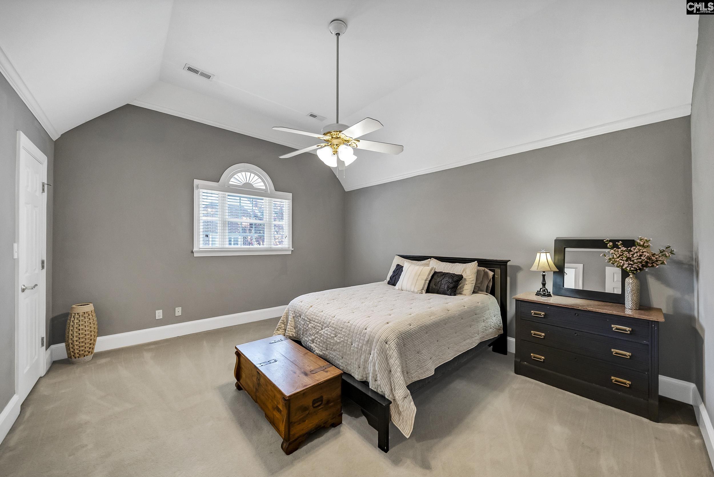216 Dawn Island Trail, Chapin, South Carolina image 48
