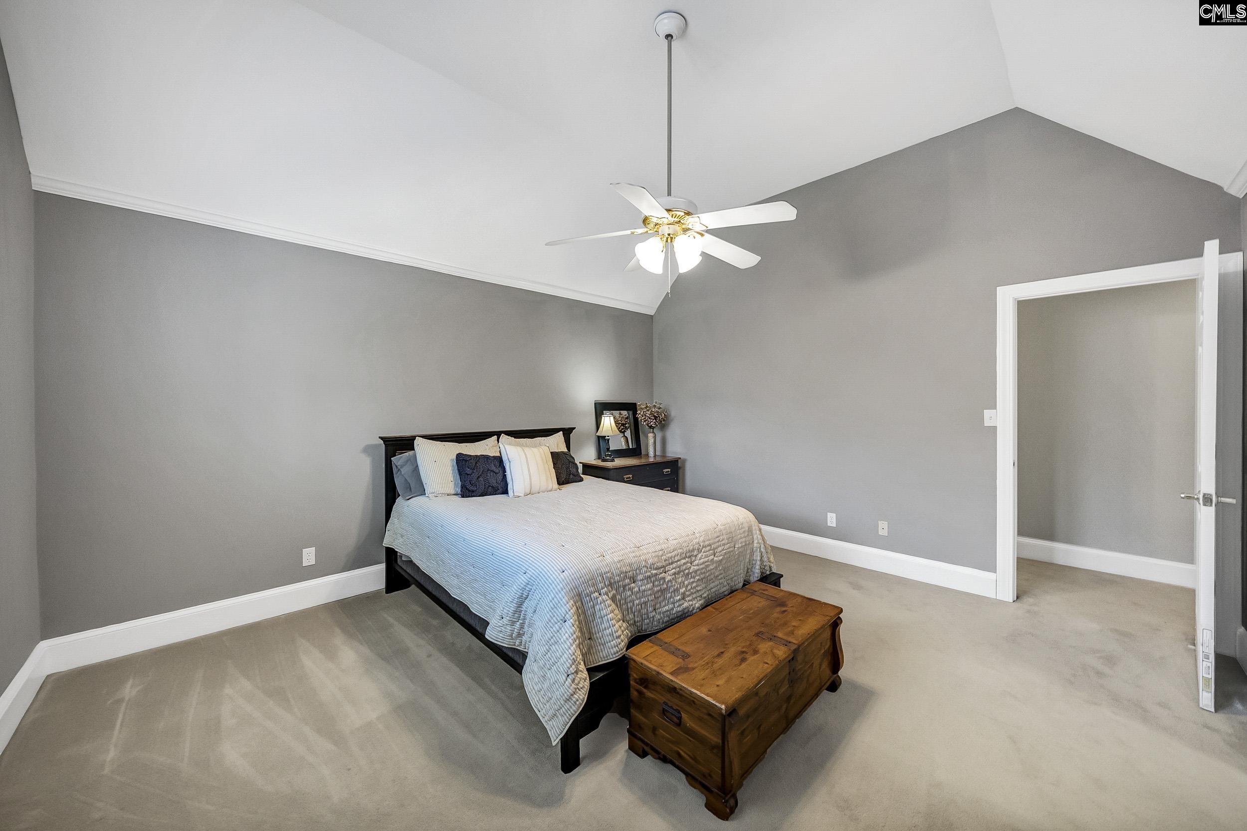 216 Dawn Island Trail, Chapin, South Carolina image 49